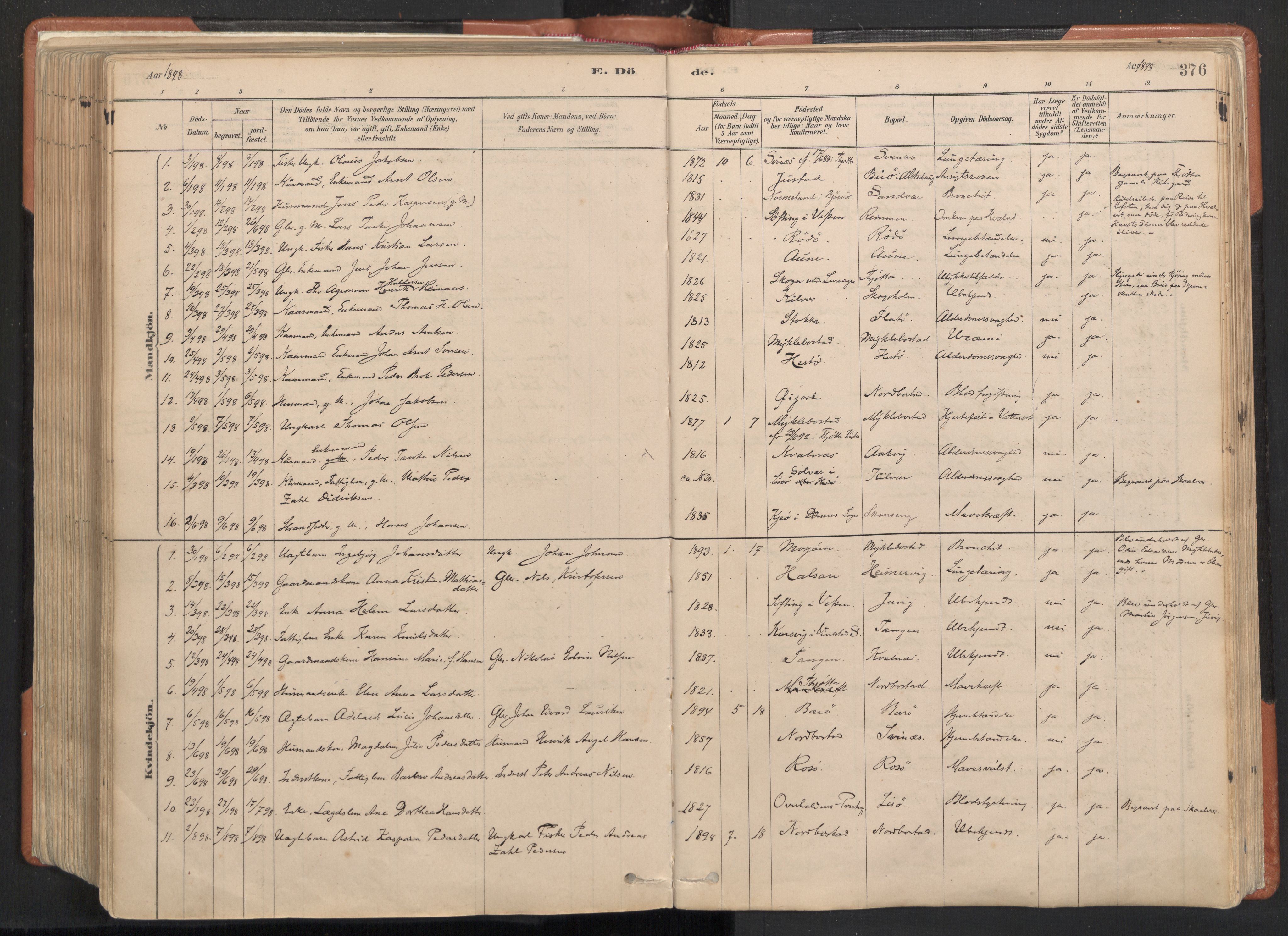 Ministerialprotokoller, klokkerbøker og fødselsregistre - Nordland, SAT/A-1459/817/L0264: Parish register (official) no. 817A04, 1878-1907, p. 376
