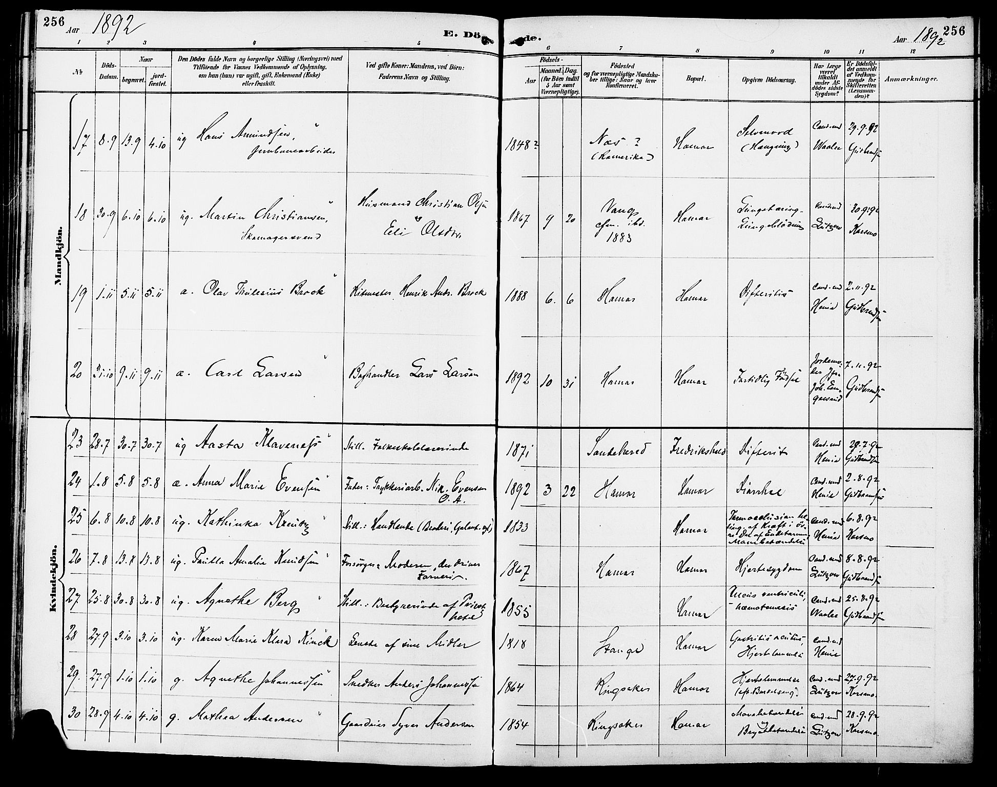 Vang prestekontor, Hedmark, AV/SAH-PREST-008/H/Ha/Haa/L0017: Parish register (official) no. 17, 1890-1899, p. 256