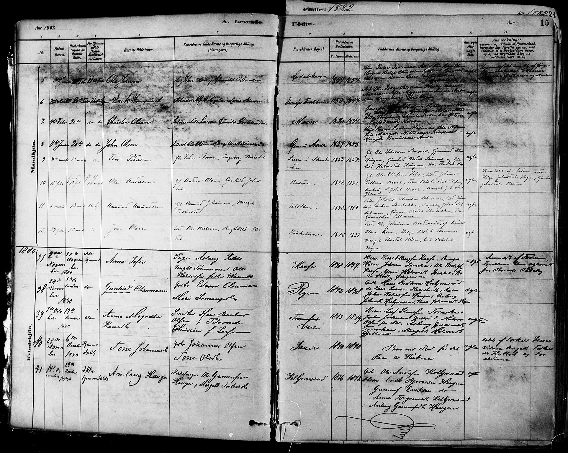 Heddal kirkebøker, SAKO/A-268/F/Fa/L0008: Parish register (official) no. I 8, 1878-1903, p. 15
