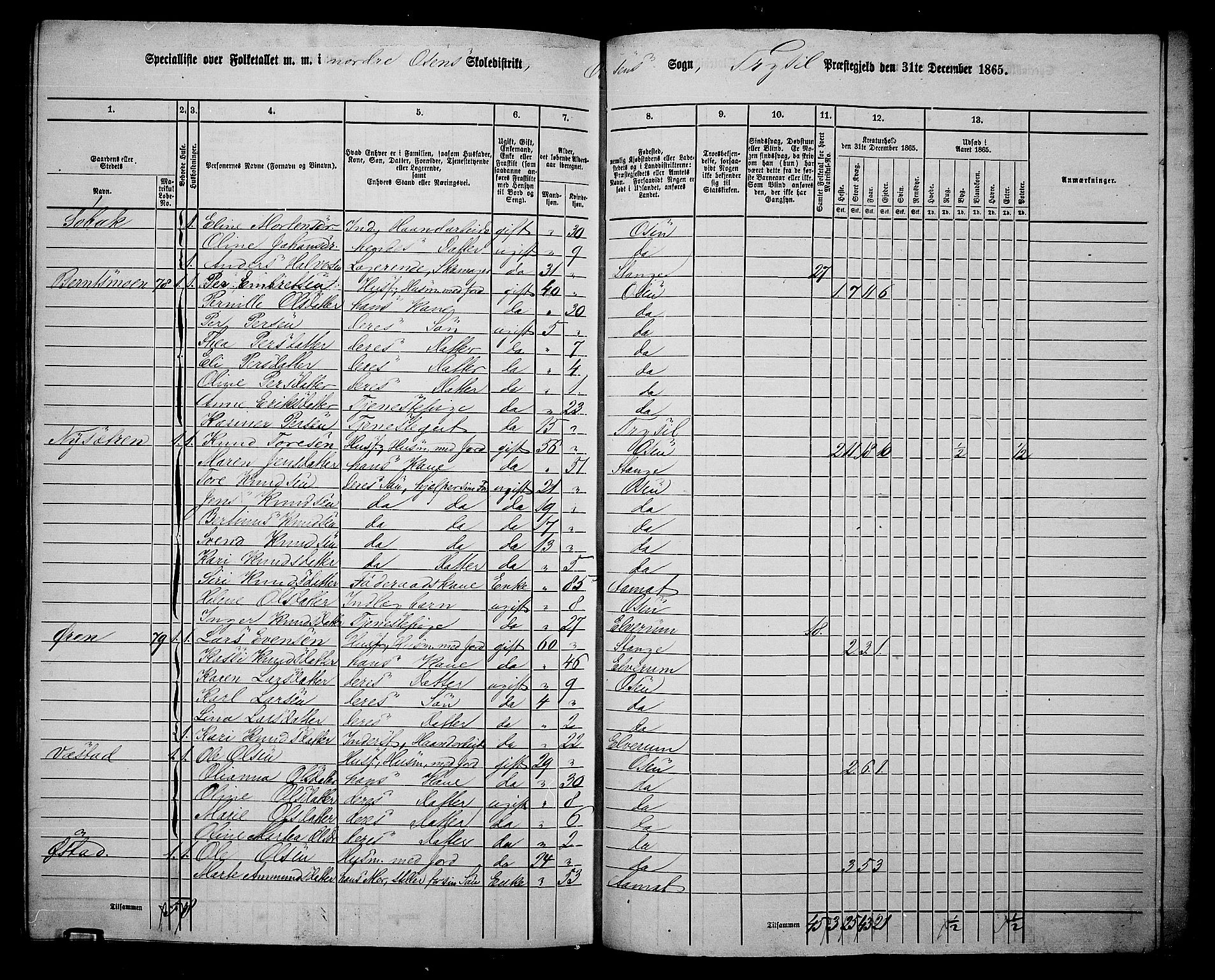 RA, 1865 census for Trysil, 1865, p. 162