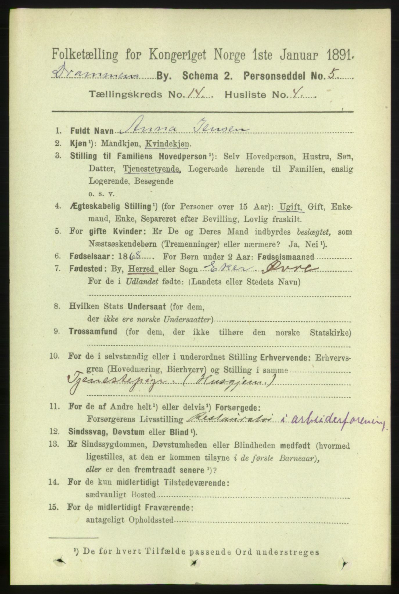 RA, 1891 census for 0602 Drammen, 1891, p. 10091