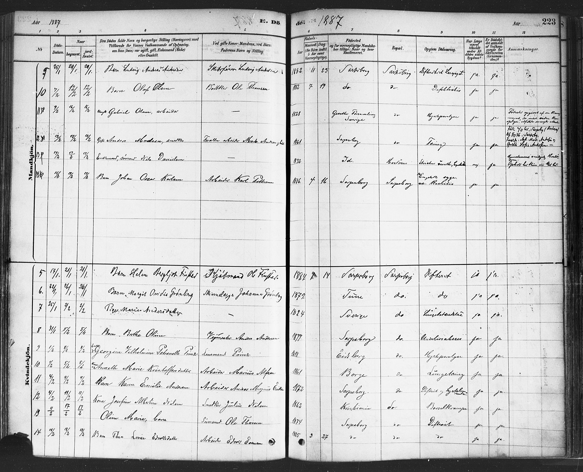 Sarpsborg prestekontor Kirkebøker, SAO/A-2006/F/Fa/L0003: Parish register (official) no. 3, 1878-1891, p. 223