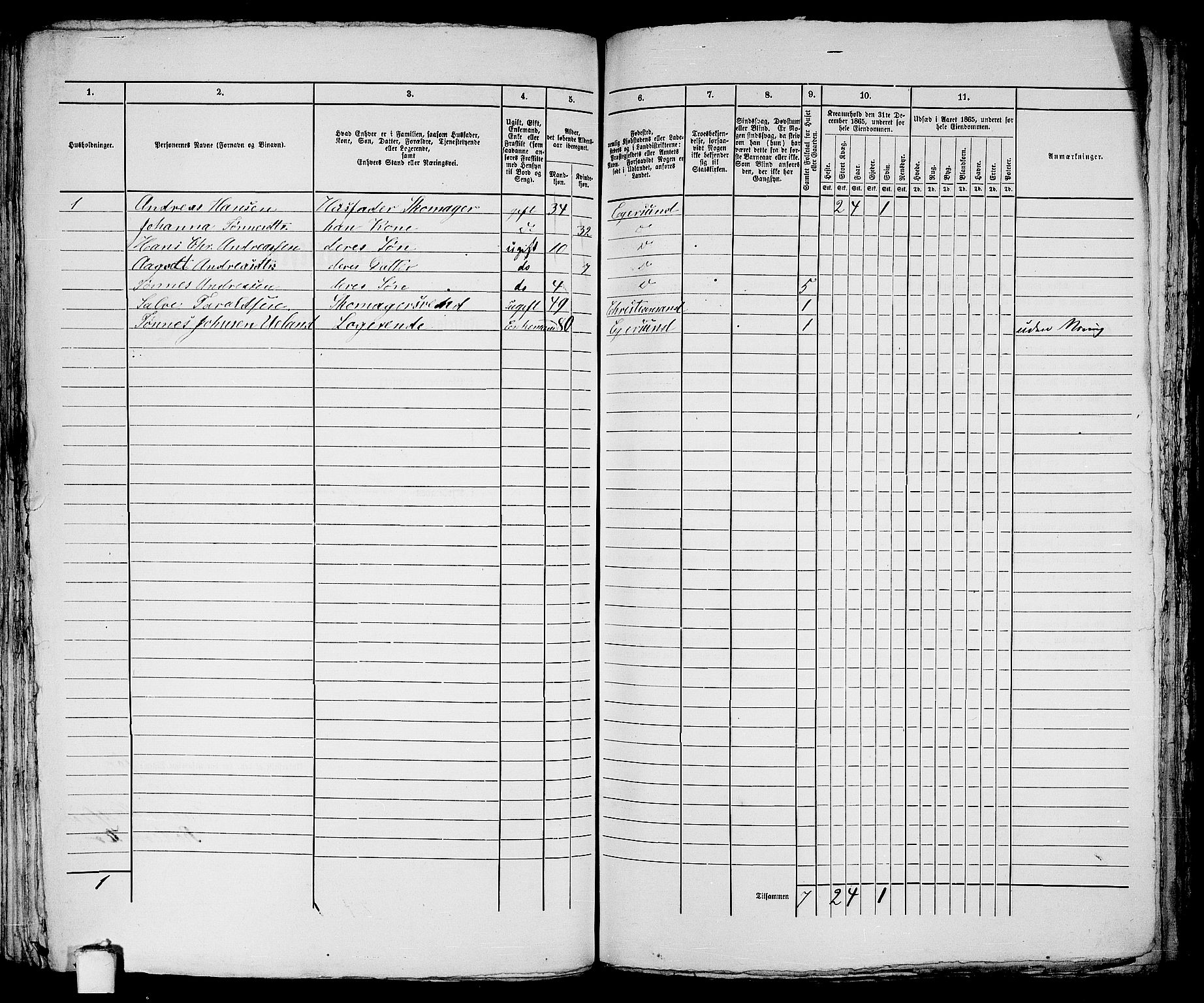 RA, 1865 census for Eigersund parish, Egersund town, 1865, p. 292