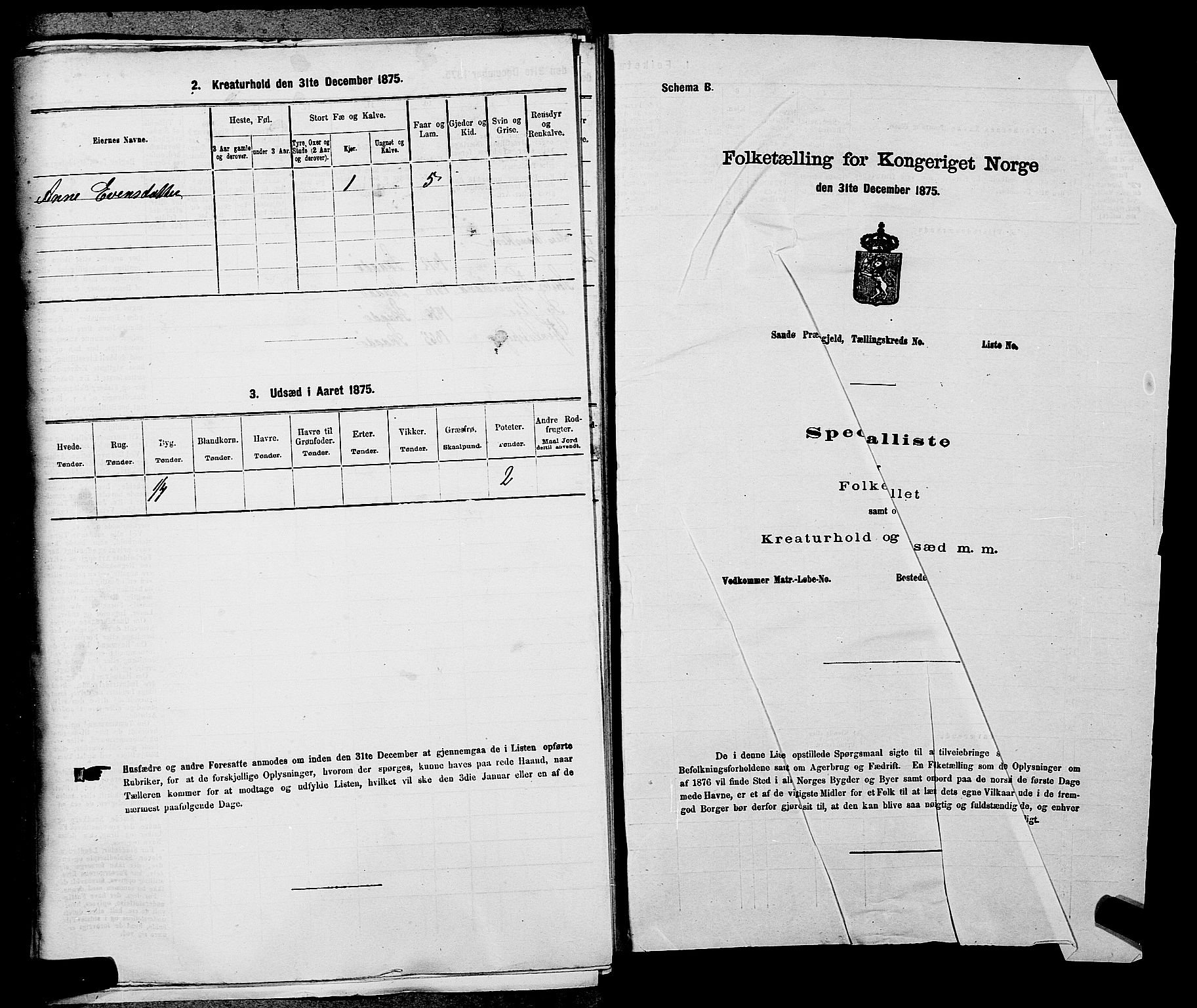 SAKO, 1875 census for 0816P Sannidal, 1875, p. 998