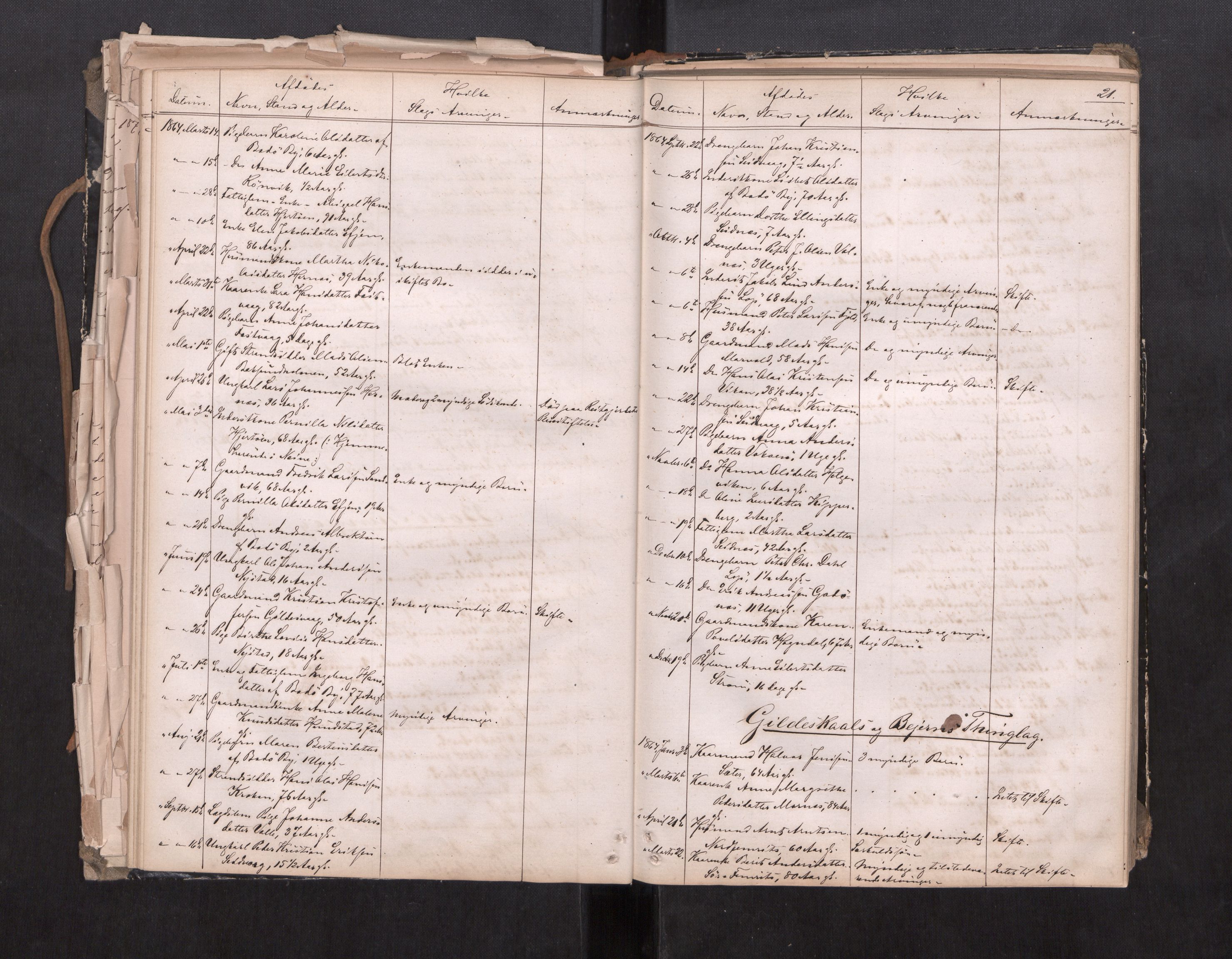 Salten sorenskriveri, AV/SAT-A-4578/1/3/3L/L0001: Dødsfallprotokoll, 1863-1876, p. 21