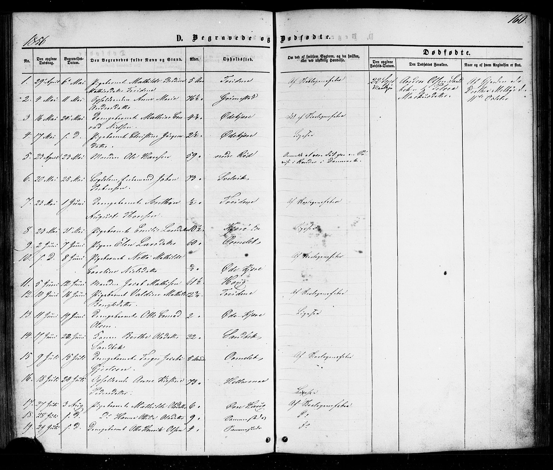 Nøtterøy kirkebøker, SAKO/A-354/G/Gb/L0001: Parish register (copy) no. II 1, 1856-1874, p. 160