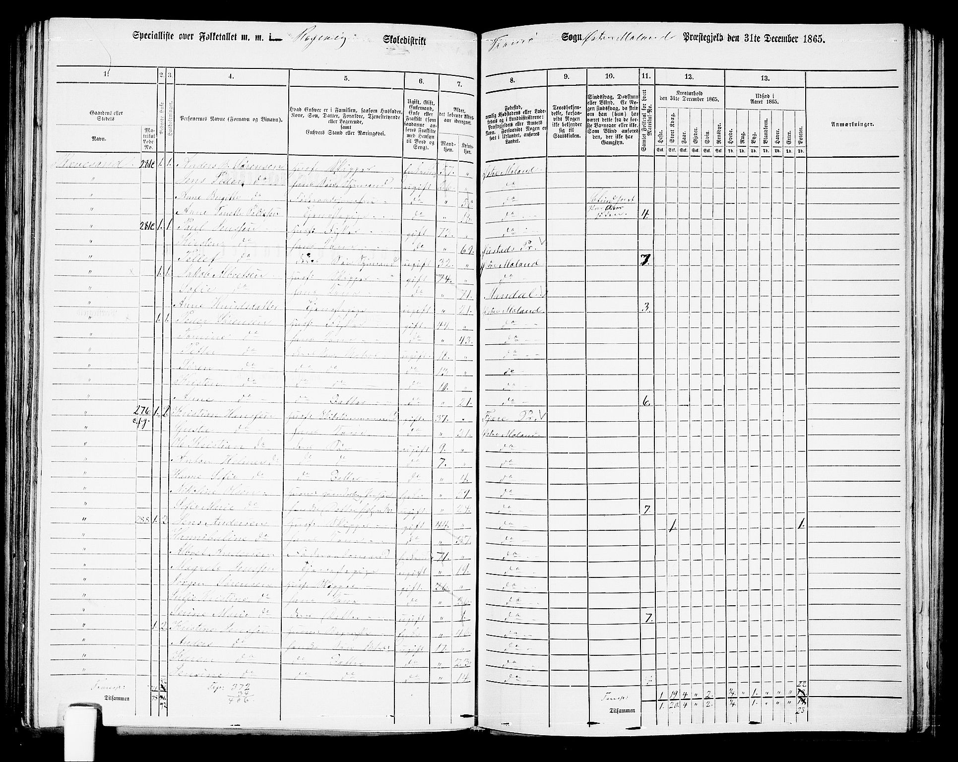 RA, 1865 census for Austre Moland, 1865, p. 245