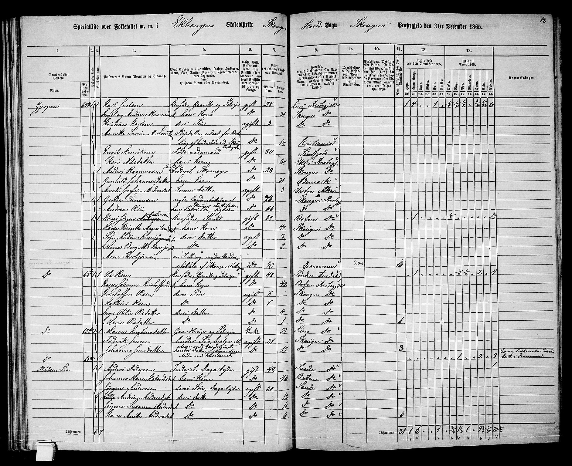 RA, 1865 census for Skoger, 1865, p. 52