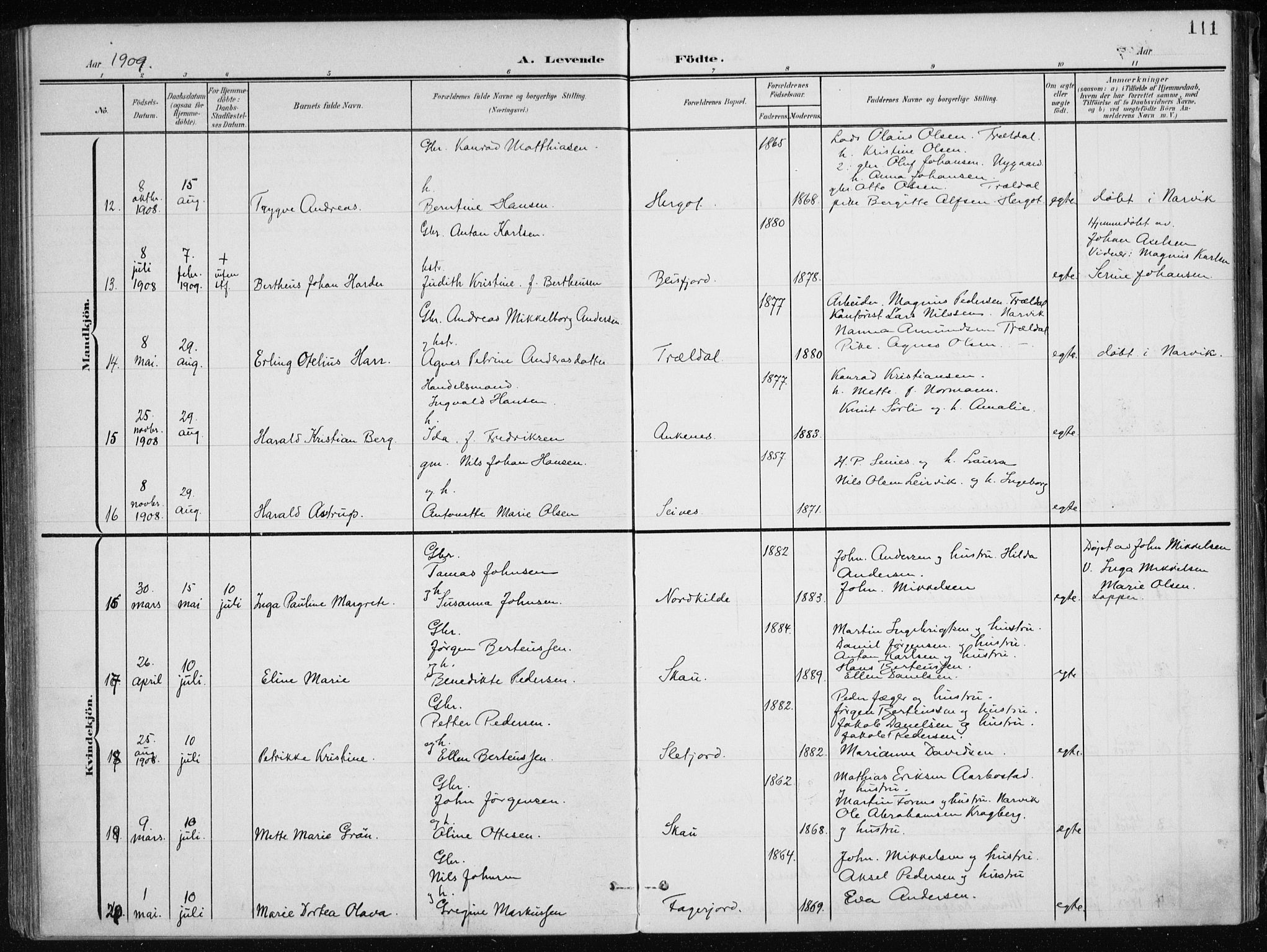 Ministerialprotokoller, klokkerbøker og fødselsregistre - Nordland, AV/SAT-A-1459/866/L0941: Parish register (official) no. 866A04, 1901-1917, p. 111