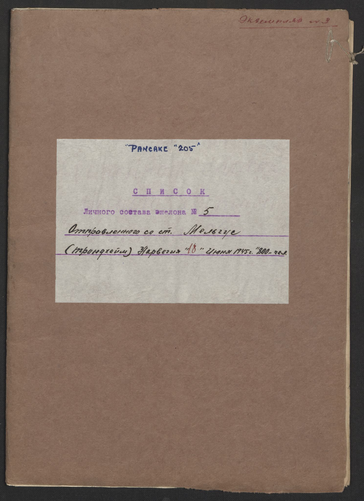 Flyktnings- og fangedirektoratet, Repatrieringskontoret, AV/RA-S-1681/D/Db/L0017: Displaced Persons (DPs) og sivile tyskere, 1945-1948, p. 699