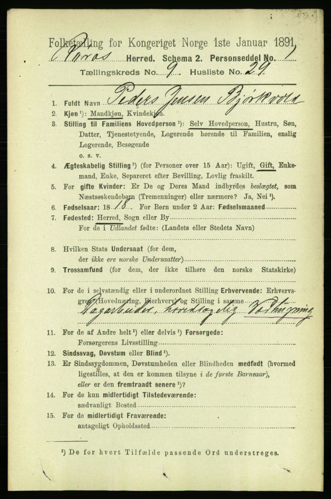 RA, 1891 census for 1640 Røros, 1891, p. 1973