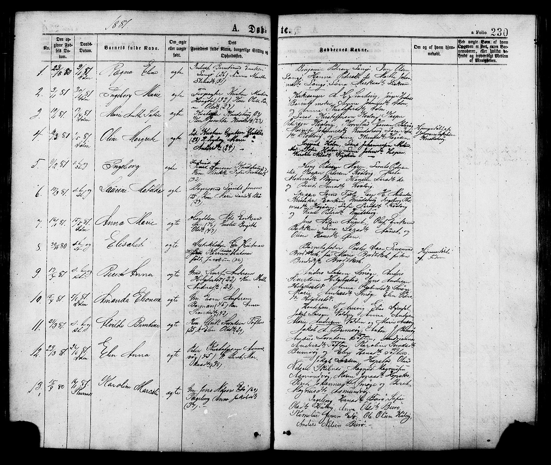 Ministerialprotokoller, klokkerbøker og fødselsregistre - Sør-Trøndelag, AV/SAT-A-1456/634/L0532: Parish register (official) no. 634A08, 1871-1881, p. 230