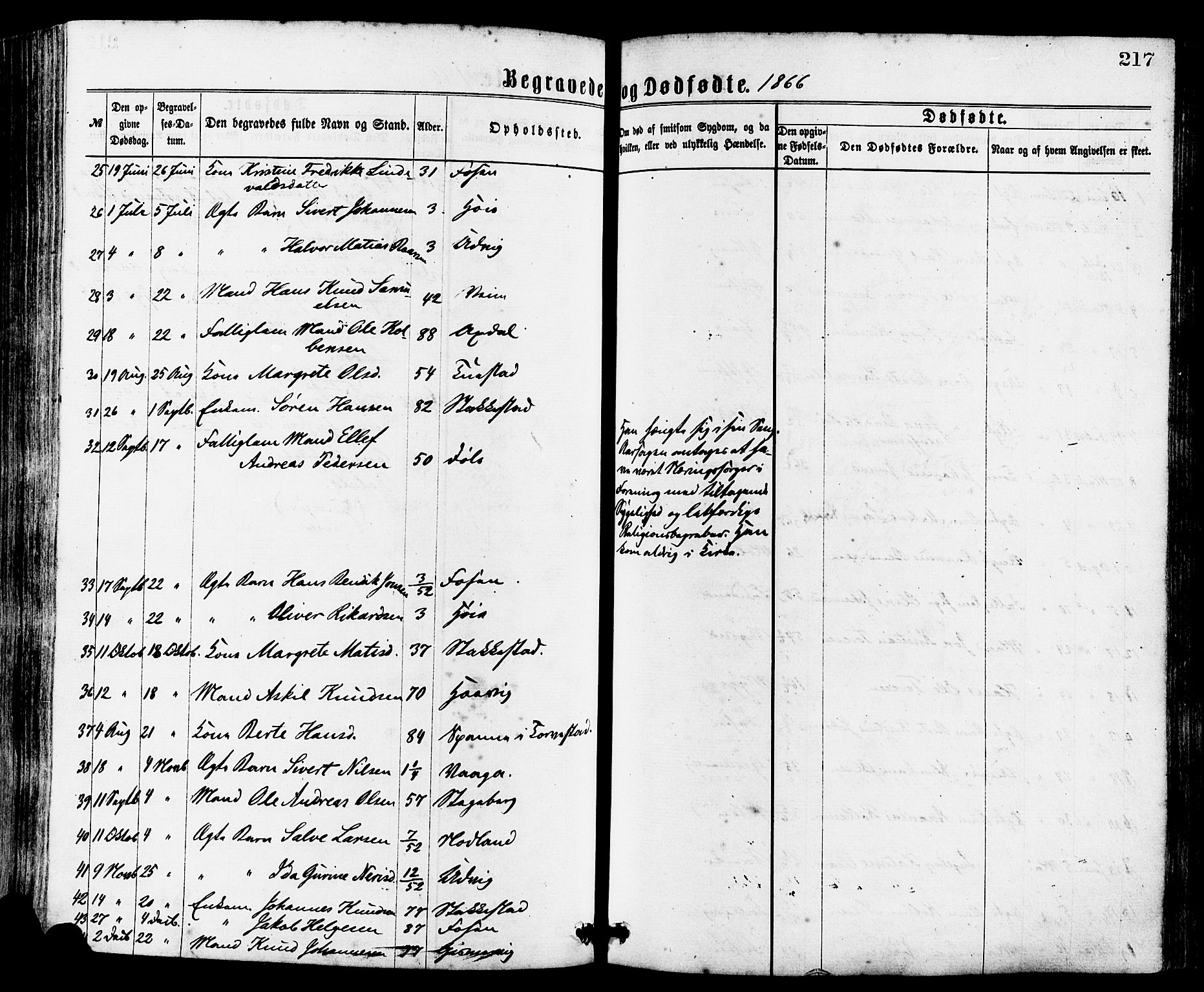 Avaldsnes sokneprestkontor, AV/SAST-A -101851/H/Ha/Haa/L0012: Parish register (official) no. A 12, 1865-1880, p. 217