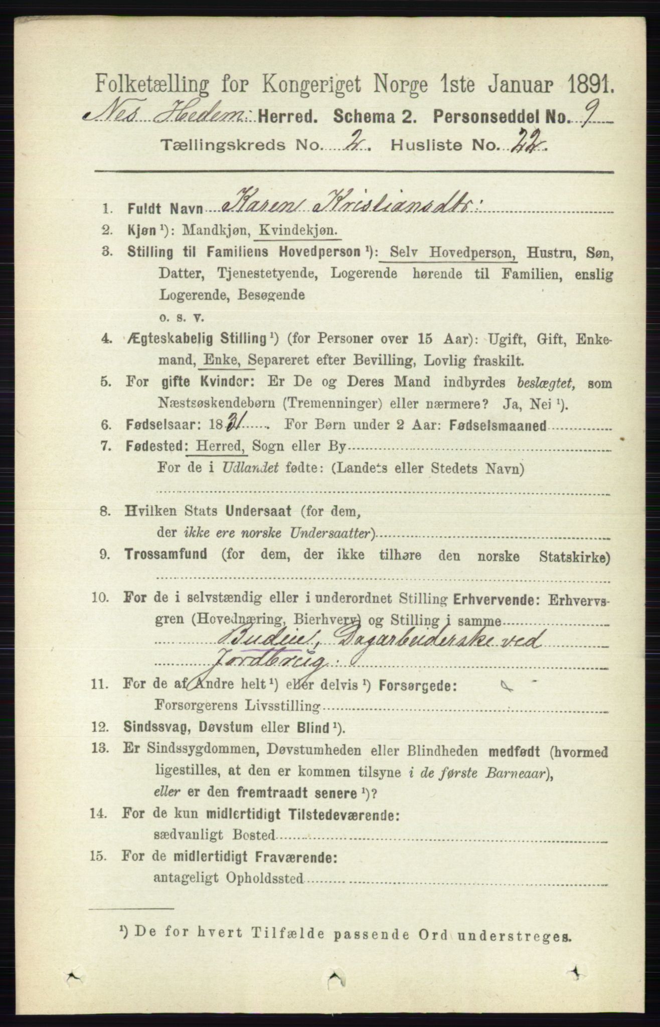 RA, 1891 census for 0411 Nes, 1891, p. 1243