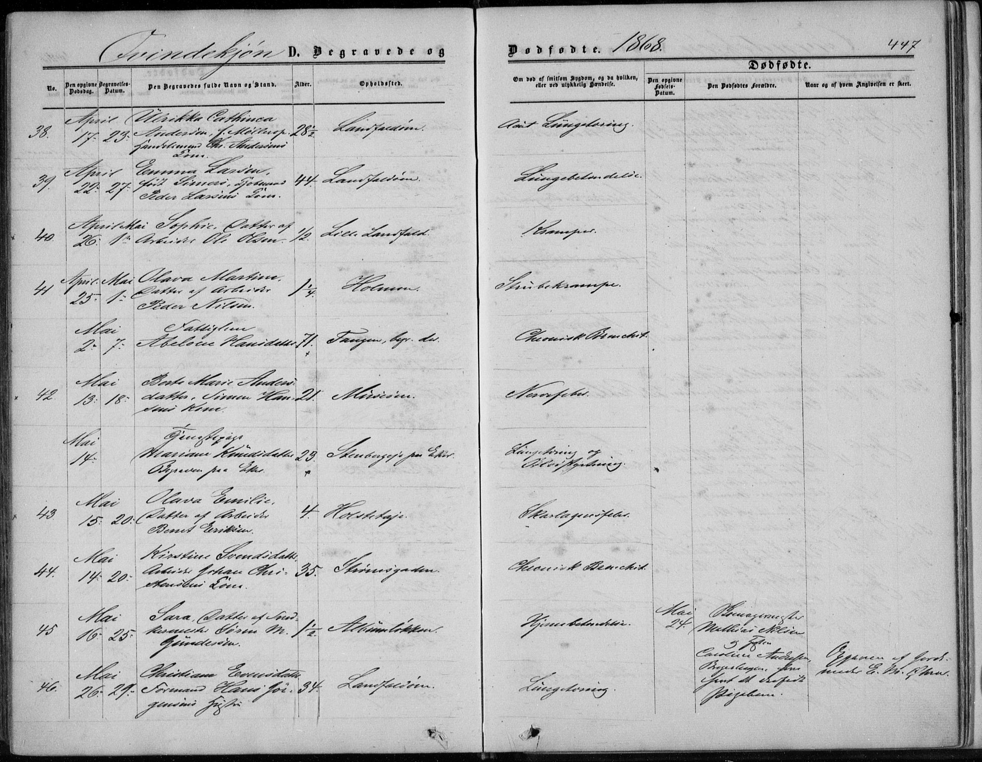 Bragernes kirkebøker, AV/SAKO-A-6/F/Fb/L0003: Parish register (official) no. II 3, 1860-1868, p. 447