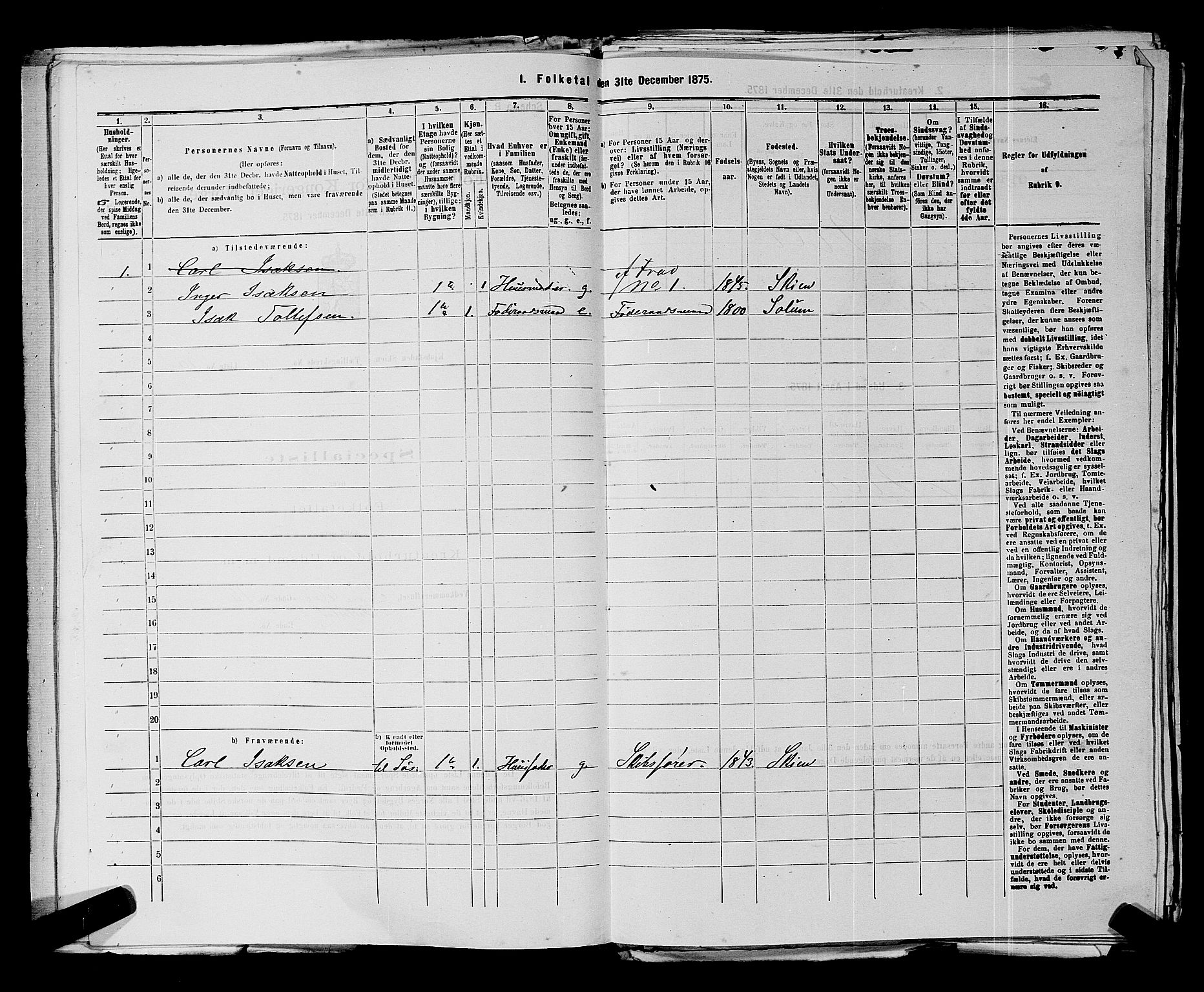 SAKO, 1875 census for 0806P Skien, 1875, p. 1272