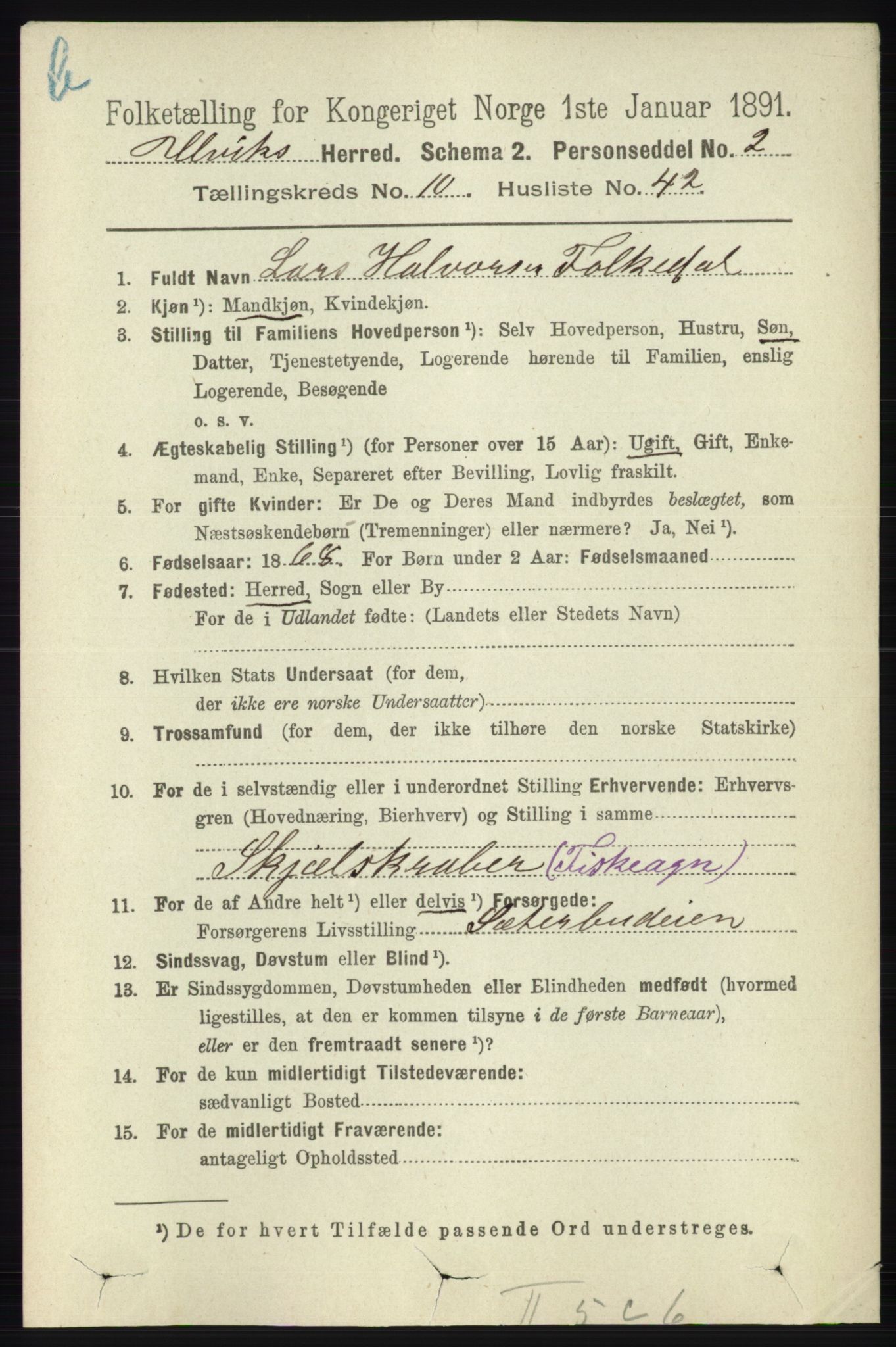 RA, 1891 census for 1233 Ulvik, 1891, p. 3426