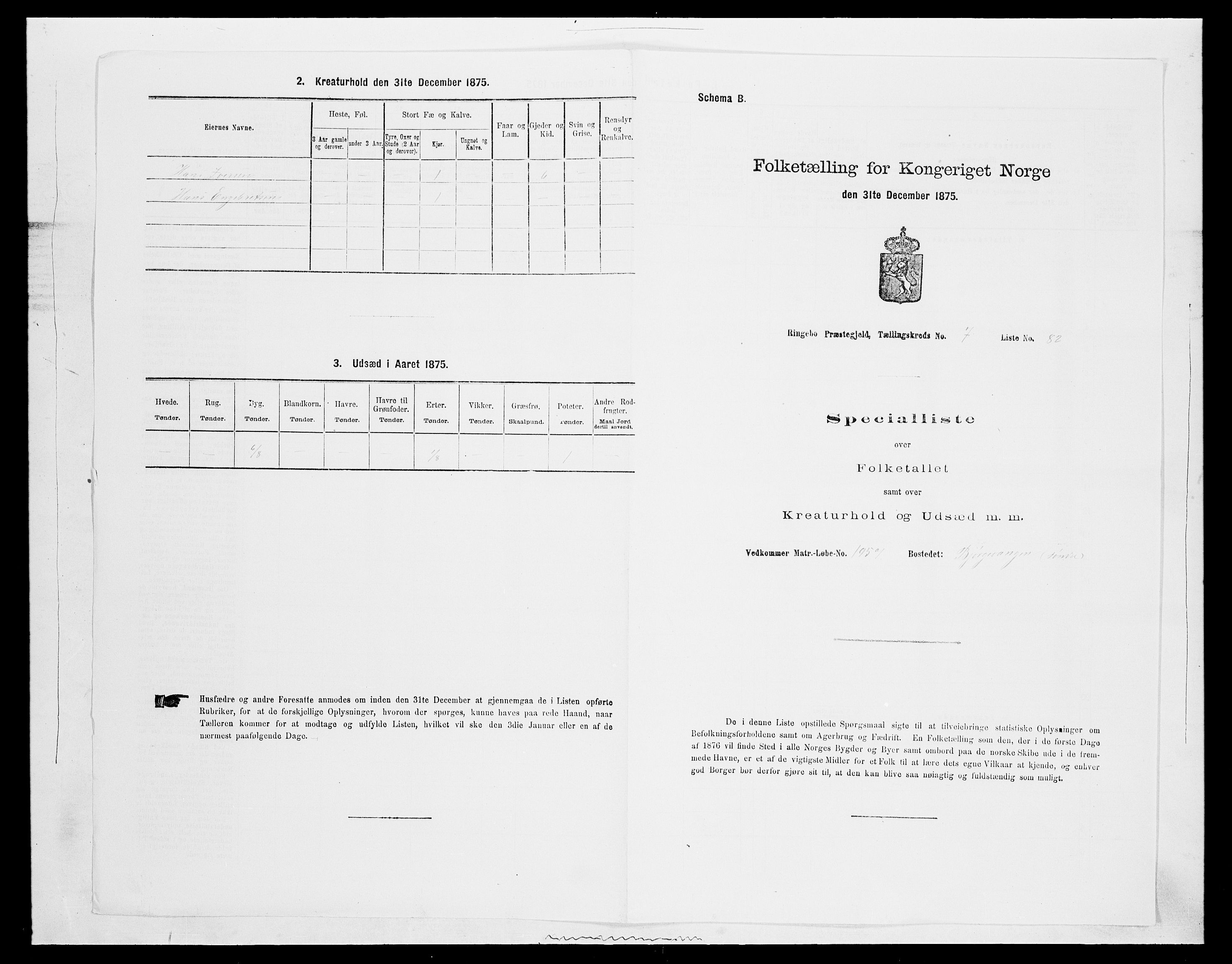 SAH, 1875 census for 0520P Ringebu, 1875, p. 1172