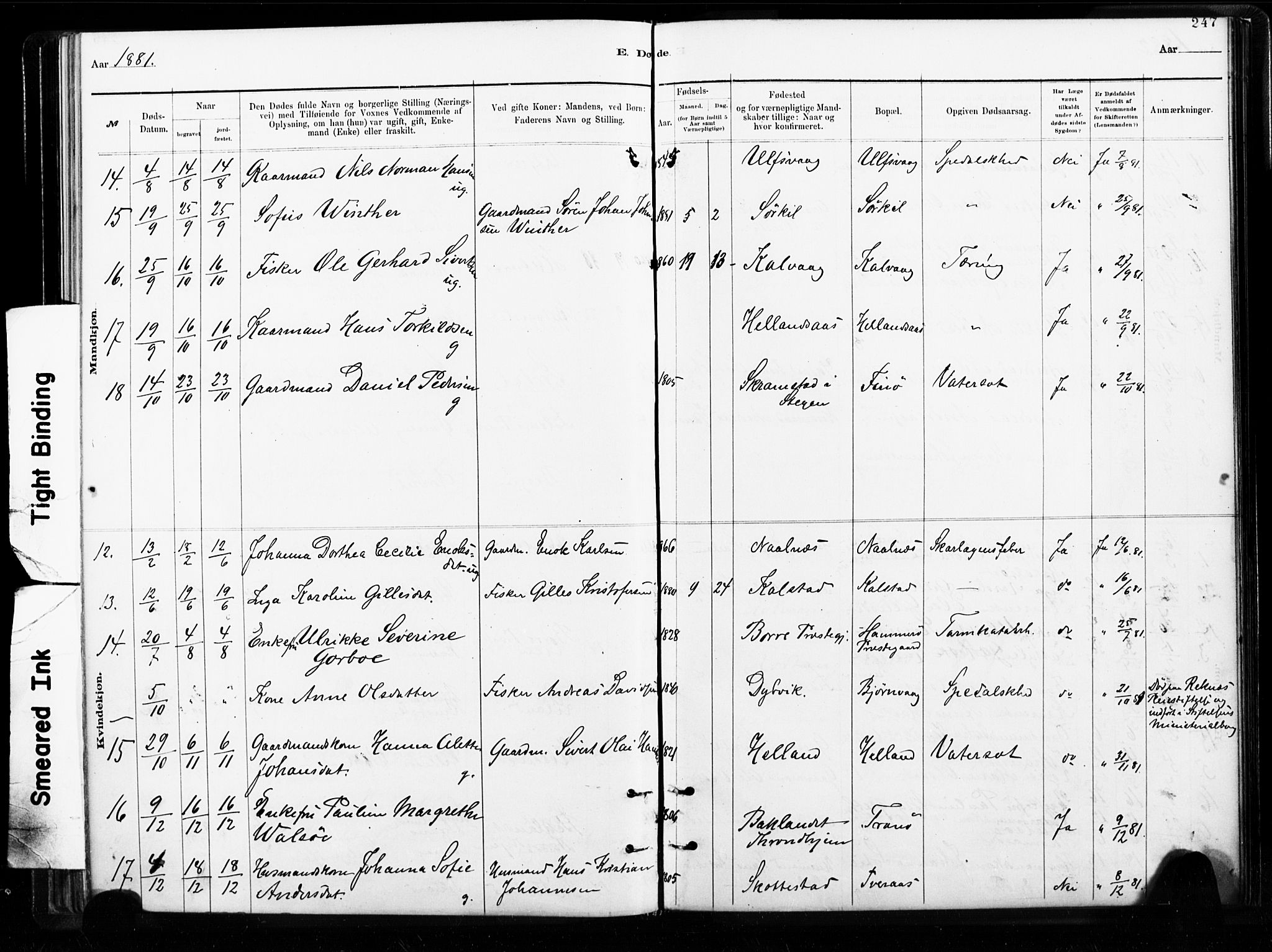 Ministerialprotokoller, klokkerbøker og fødselsregistre - Nordland, AV/SAT-A-1459/859/L0846: Parish register (official) no. 859A06, 1878-1889, p. 247