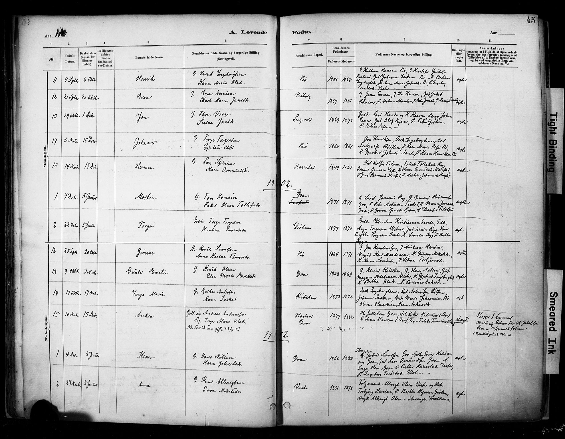 Hetland sokneprestkontor, SAST/A-101826/30/30BA/L0009: Parish register (official) no. A 9, 1882-1918, p. 45