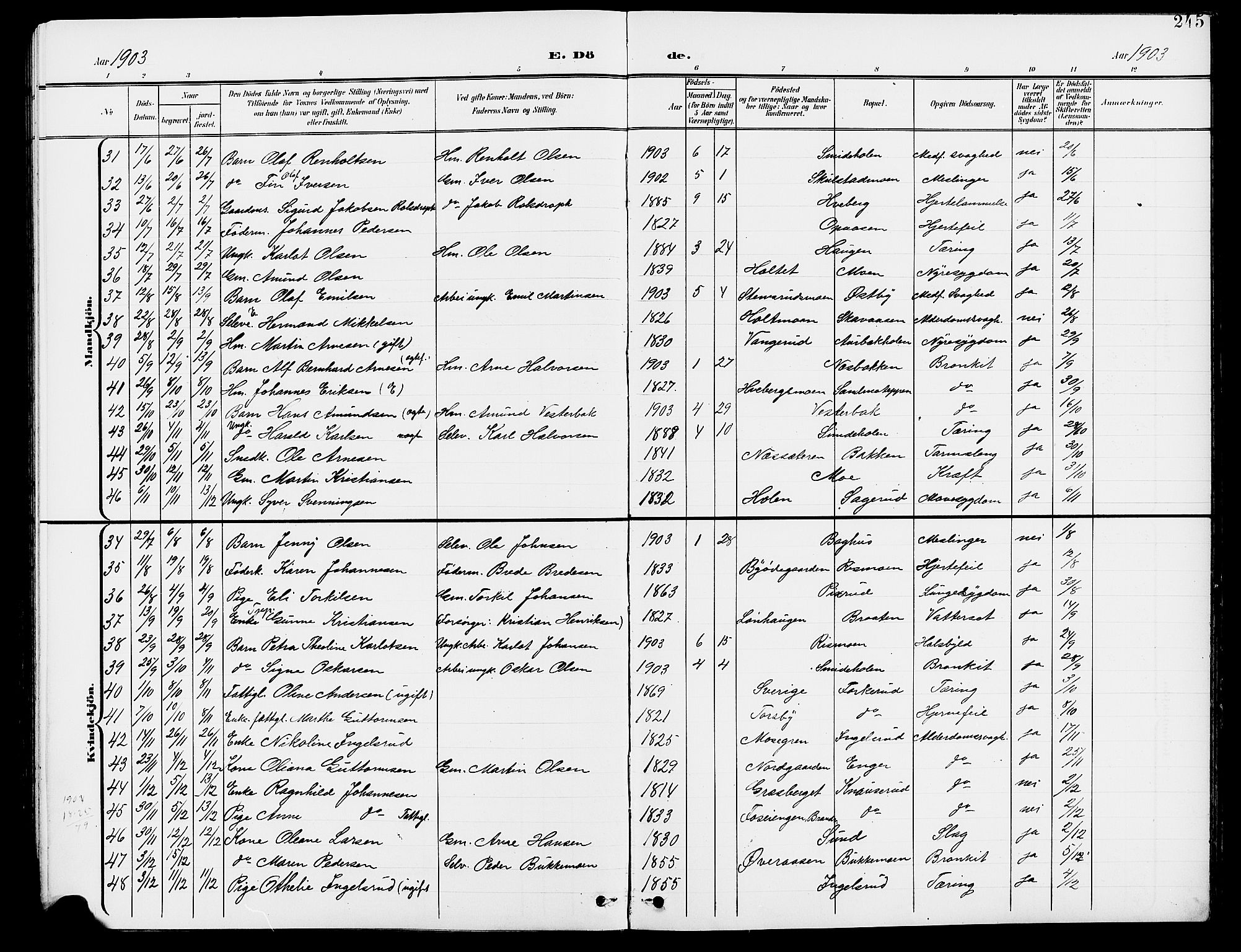 Grue prestekontor, AV/SAH-PREST-036/H/Ha/Hab/L0005: Parish register (copy) no. 5, 1900-1909, p. 245