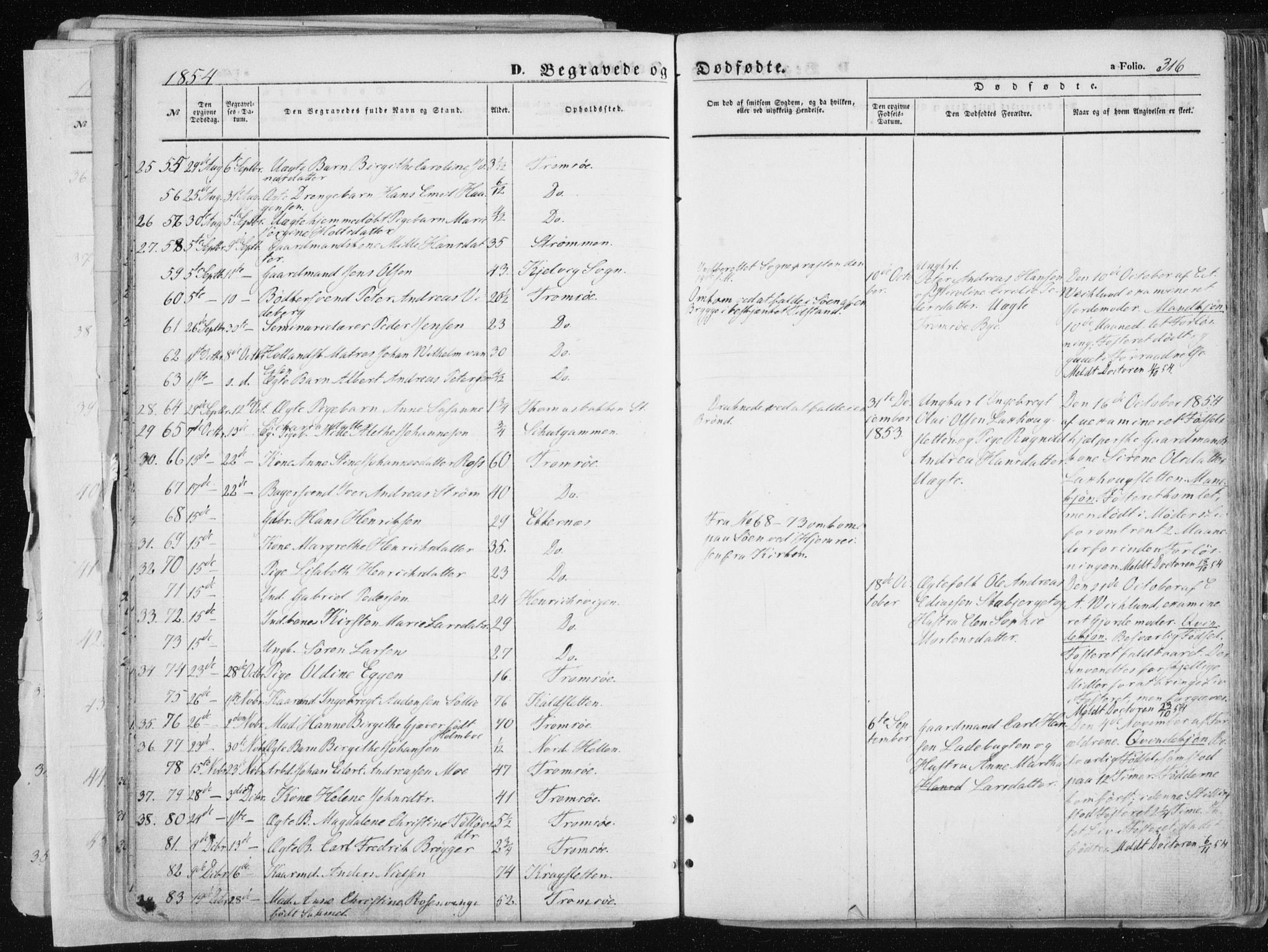 Tromsø sokneprestkontor/stiftsprosti/domprosti, SATØ/S-1343/G/Ga/L0010kirke: Parish register (official) no. 10, 1848-1855, p. 316