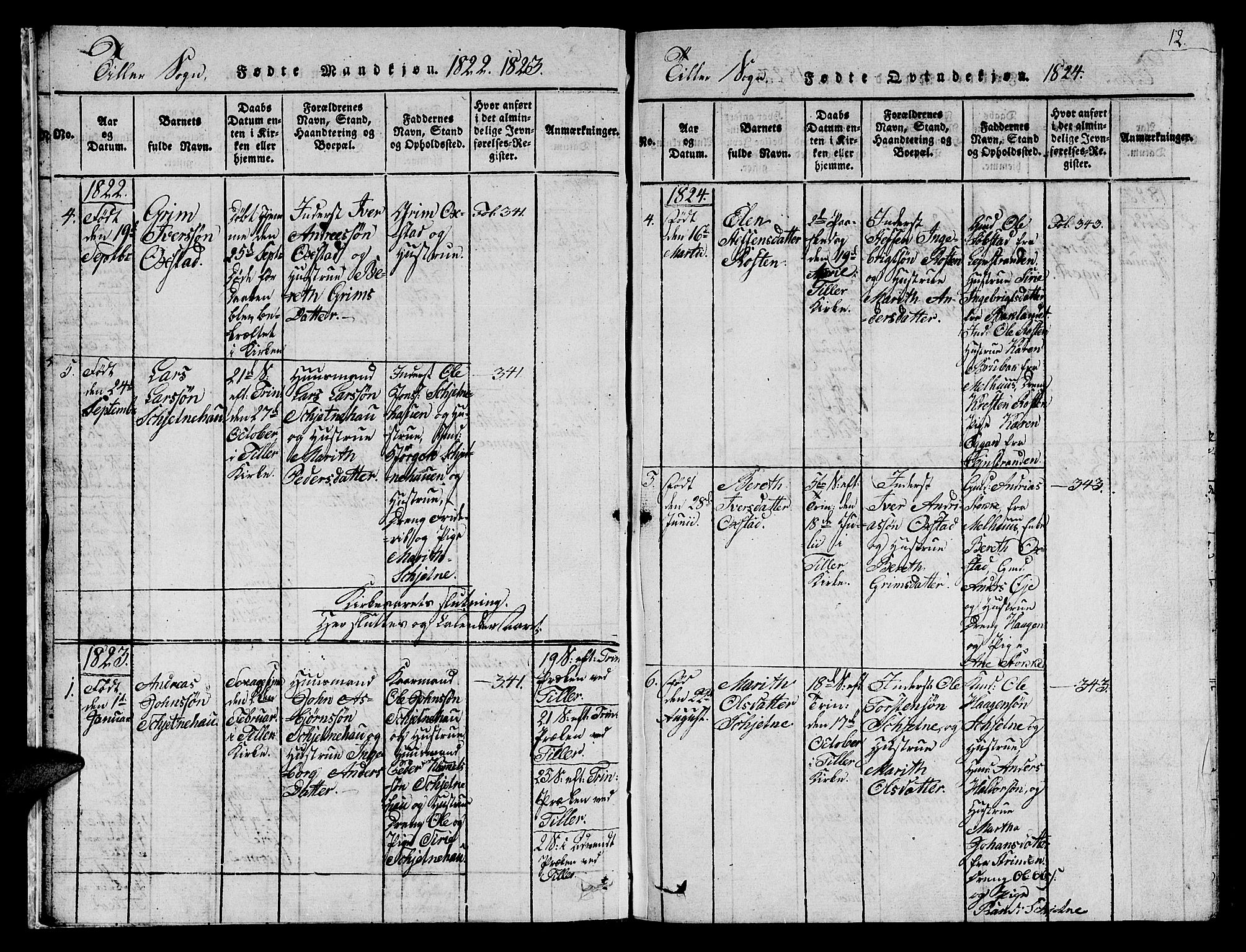 Ministerialprotokoller, klokkerbøker og fødselsregistre - Sør-Trøndelag, SAT/A-1456/621/L0458: Parish register (copy) no. 621C01, 1816-1865, p. 12