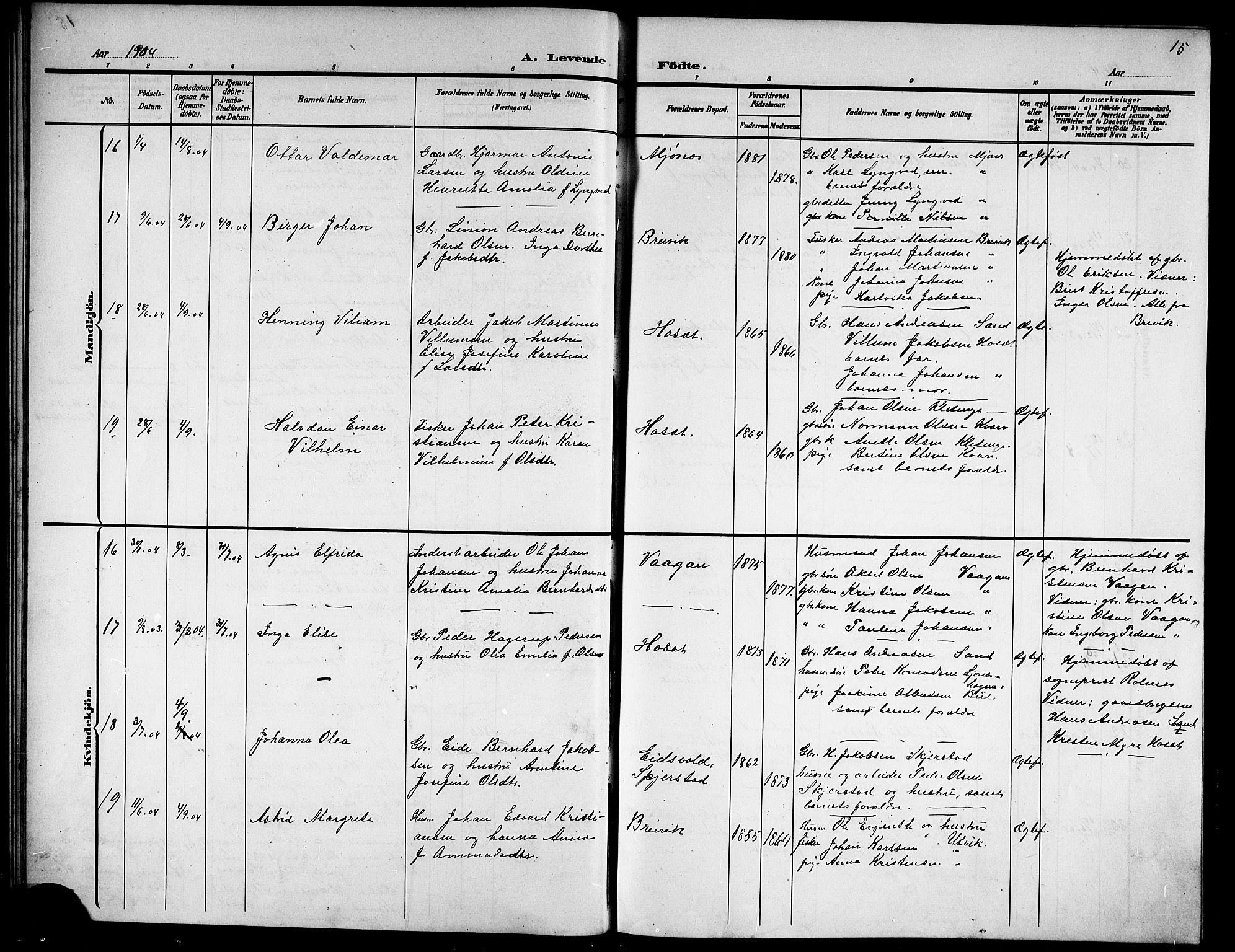 Ministerialprotokoller, klokkerbøker og fødselsregistre - Nordland, AV/SAT-A-1459/852/L0756: Parish register (copy) no. 852C07, 1902-1916, p. 15