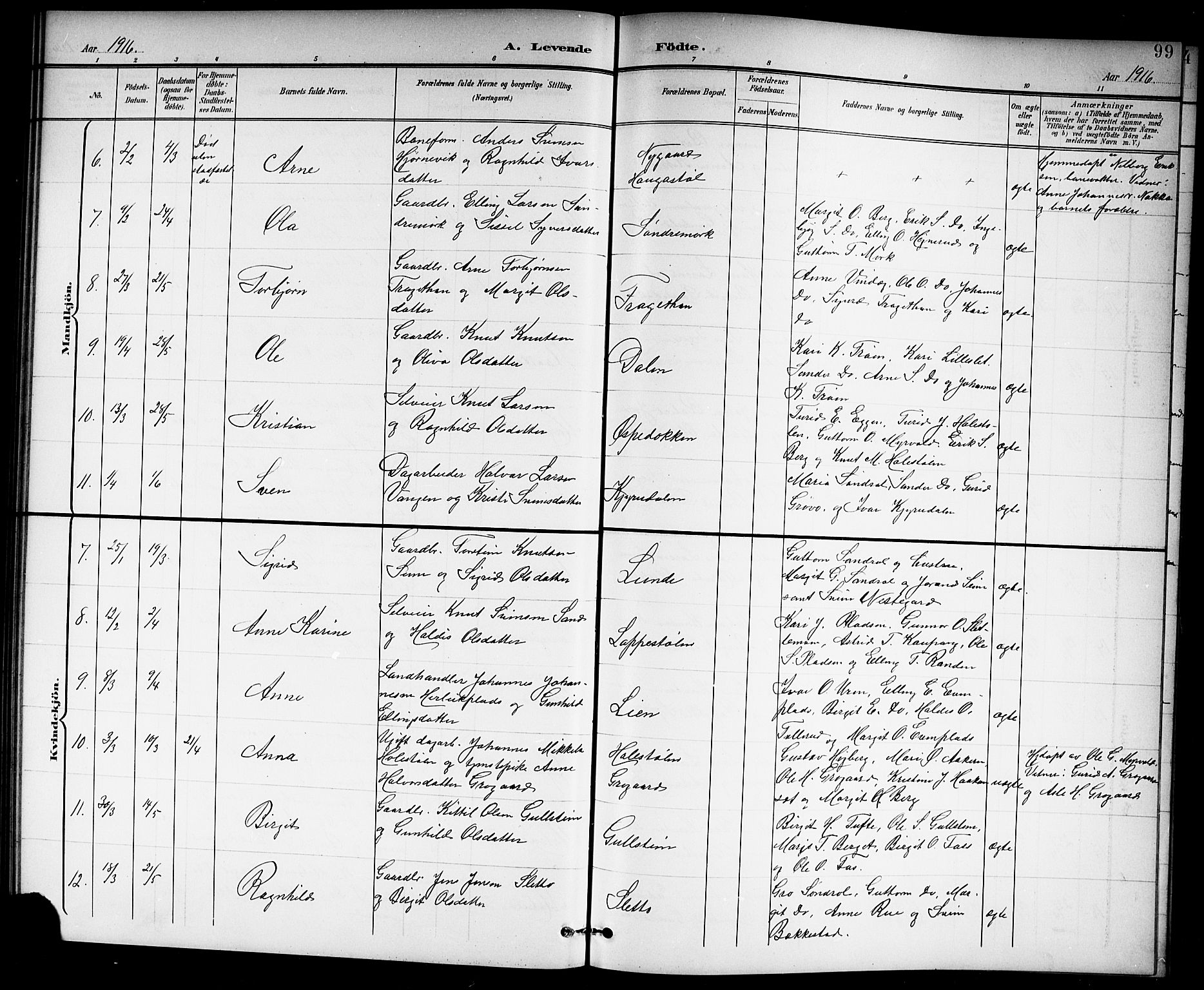 Hol kirkebøker, SAKO/A-227/G/Ga/L0001: Parish register (copy) no. I 1, 1900-1919, p. 99