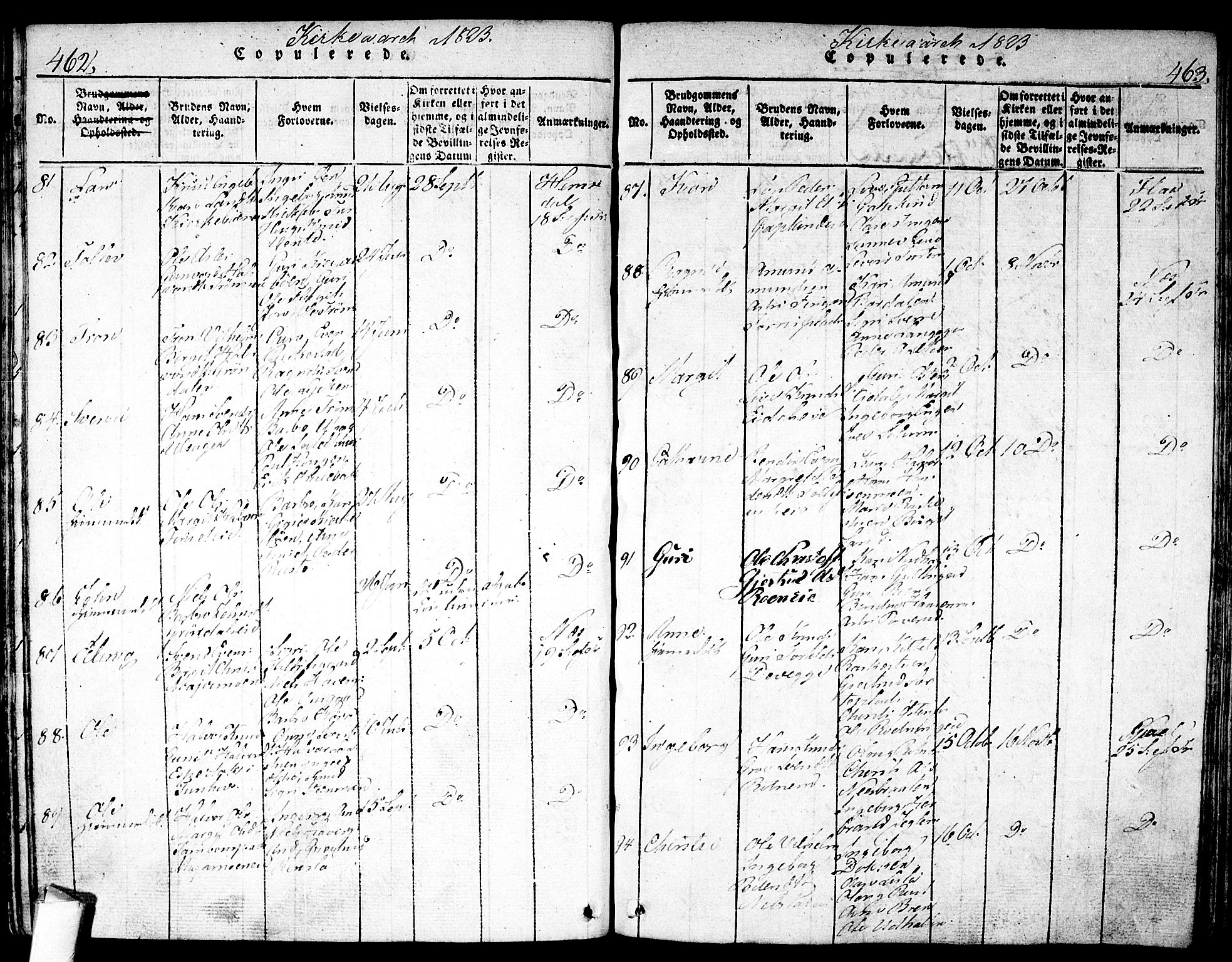 Nes kirkebøker, AV/SAKO-A-236/F/Fa/L0007: Parish register (official) no. 7, 1815-1823, p. 462-463