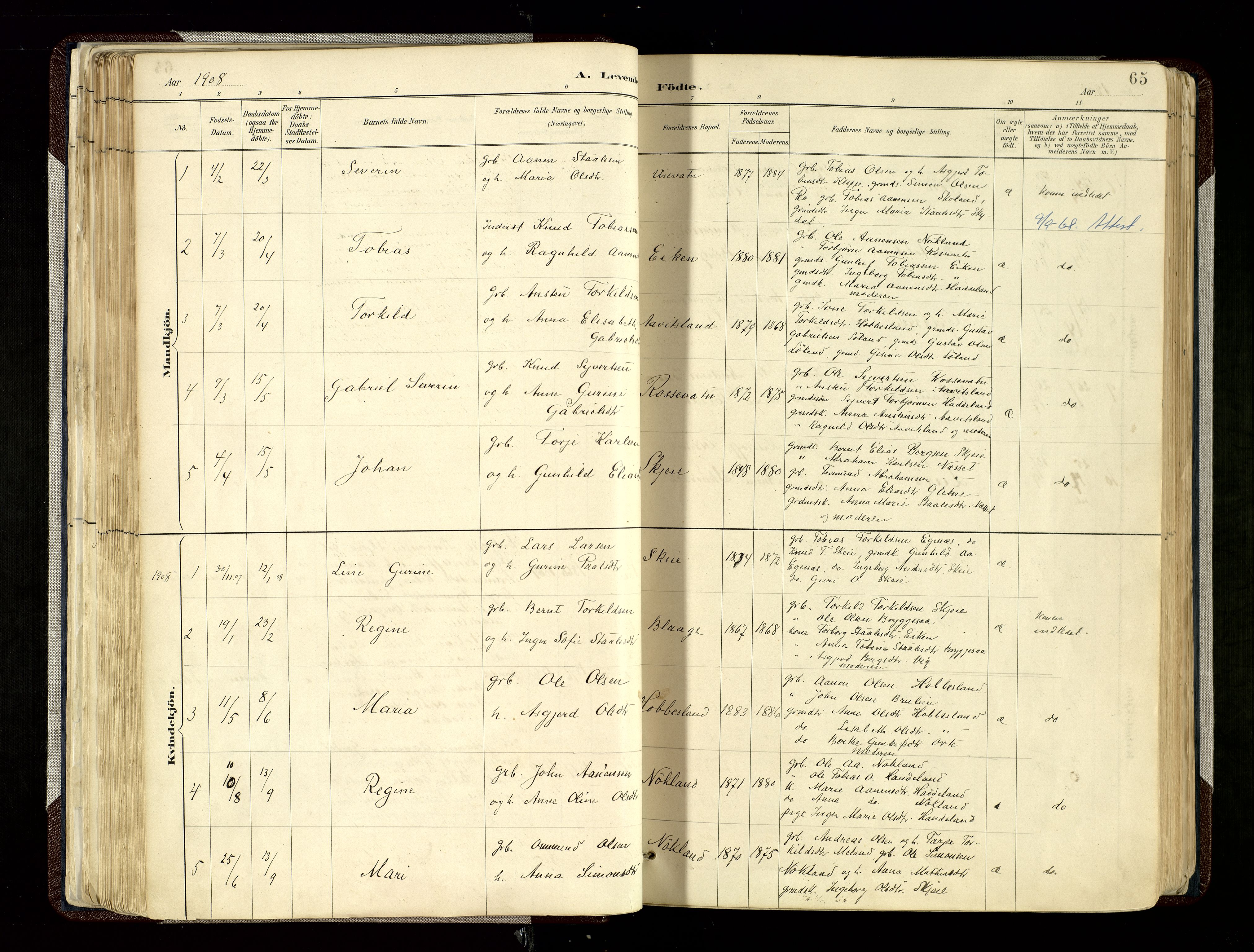Hægebostad sokneprestkontor, SAK/1111-0024/F/Fa/Fab/L0004: Parish register (official) no. A 4, 1887-1929, p. 65