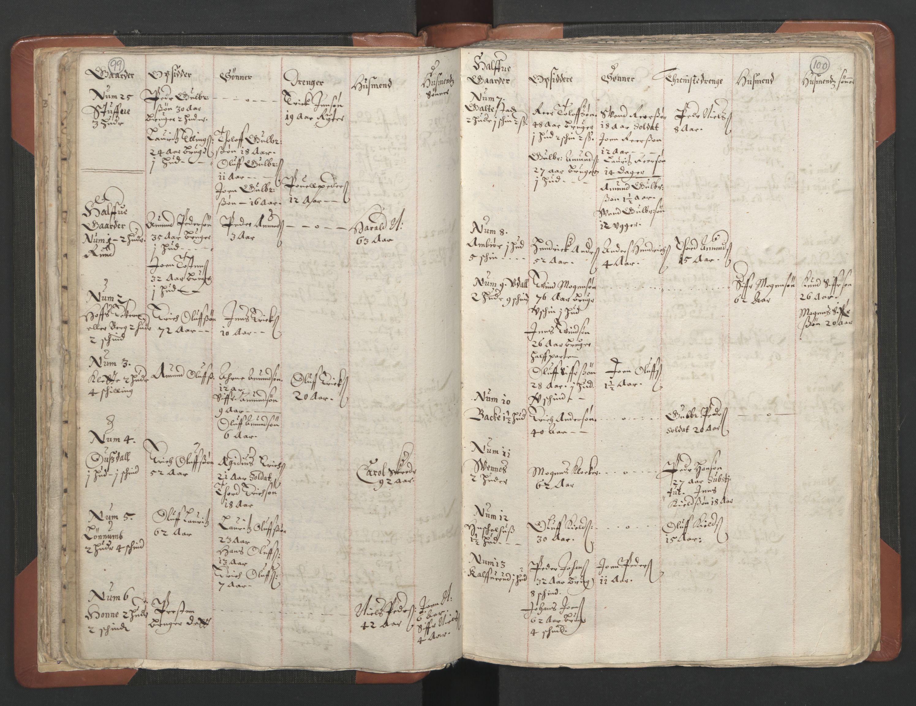 RA, Vicar's Census 1664-1666, no. 7: Hadeland deanery, 1664-1666, p. 99-100