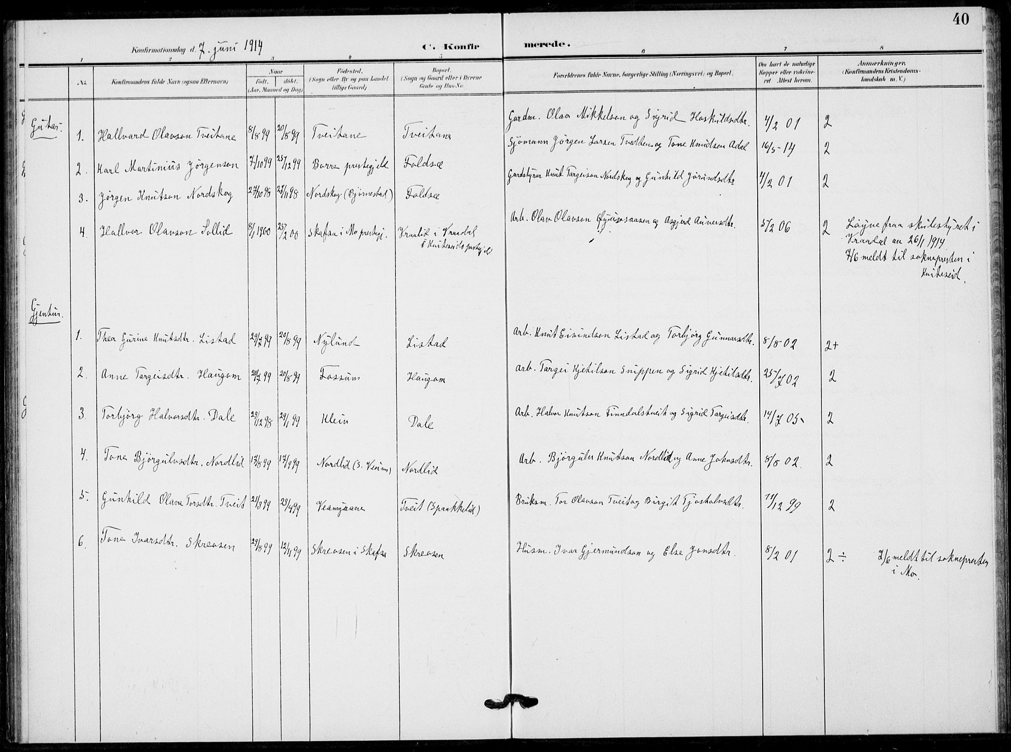 Fyresdal kirkebøker, SAKO/A-263/F/Fb/L0004: Parish register (official) no. II 4, 1903-1920, p. 40