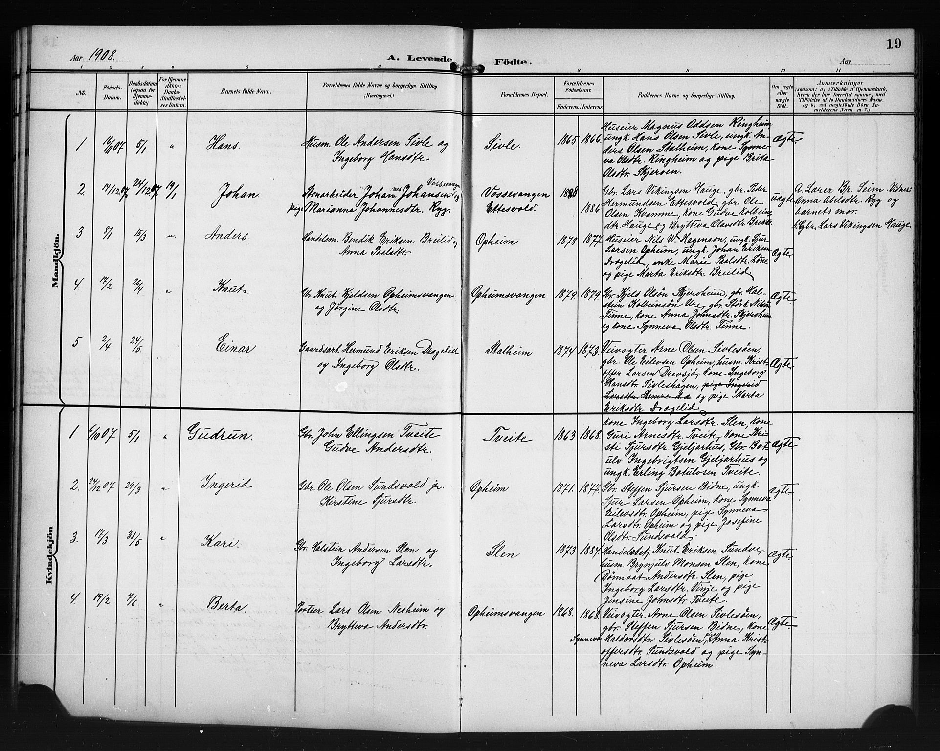 Vossestrand Sokneprestembete, AV/SAB-A-79101/H/Hab: Parish register (copy) no. A 3, 1900-1918, p. 19