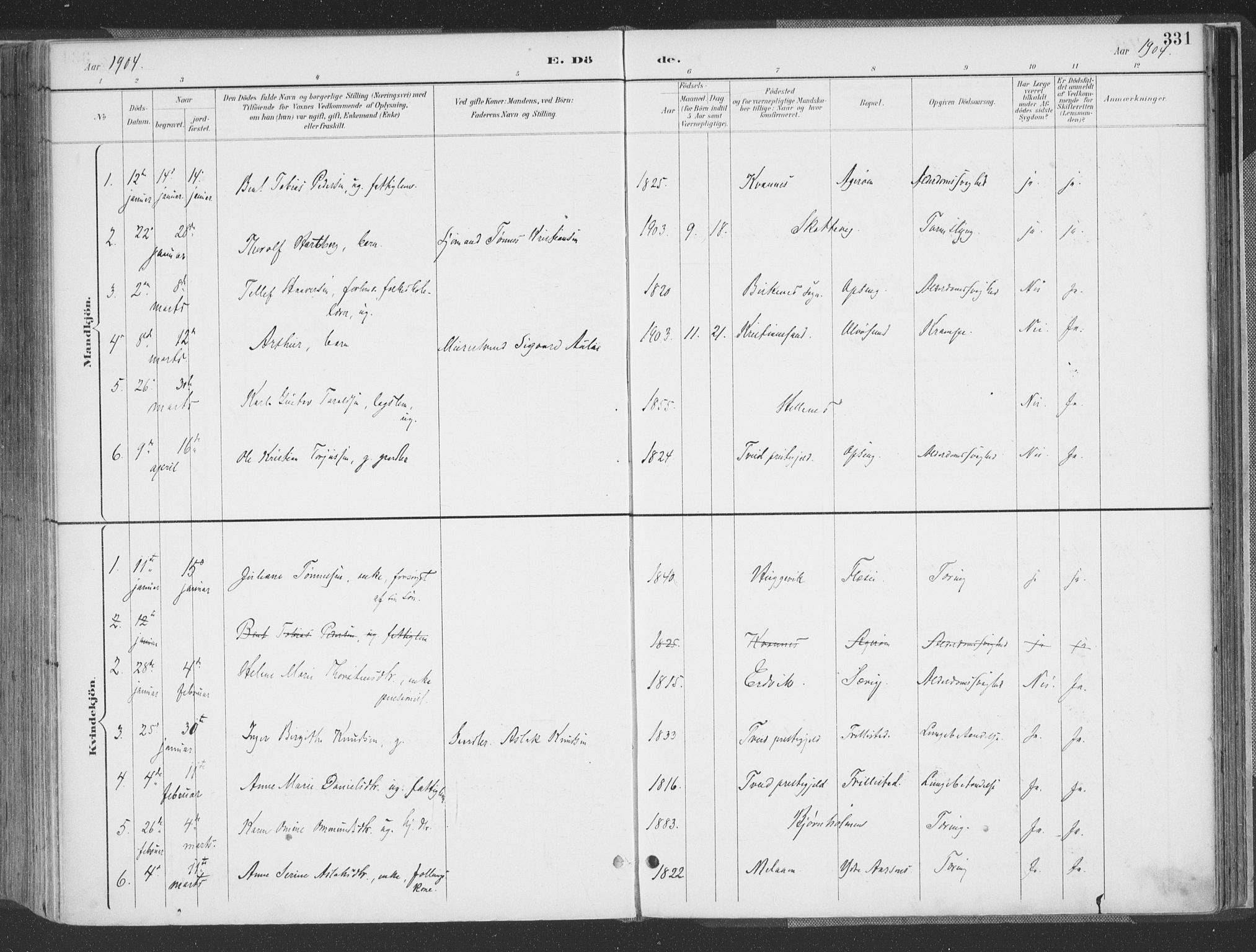 Høvåg sokneprestkontor, AV/SAK-1111-0025/F/Fa/L0006: Parish register (official) no. A 6, 1894-1923, p. 331