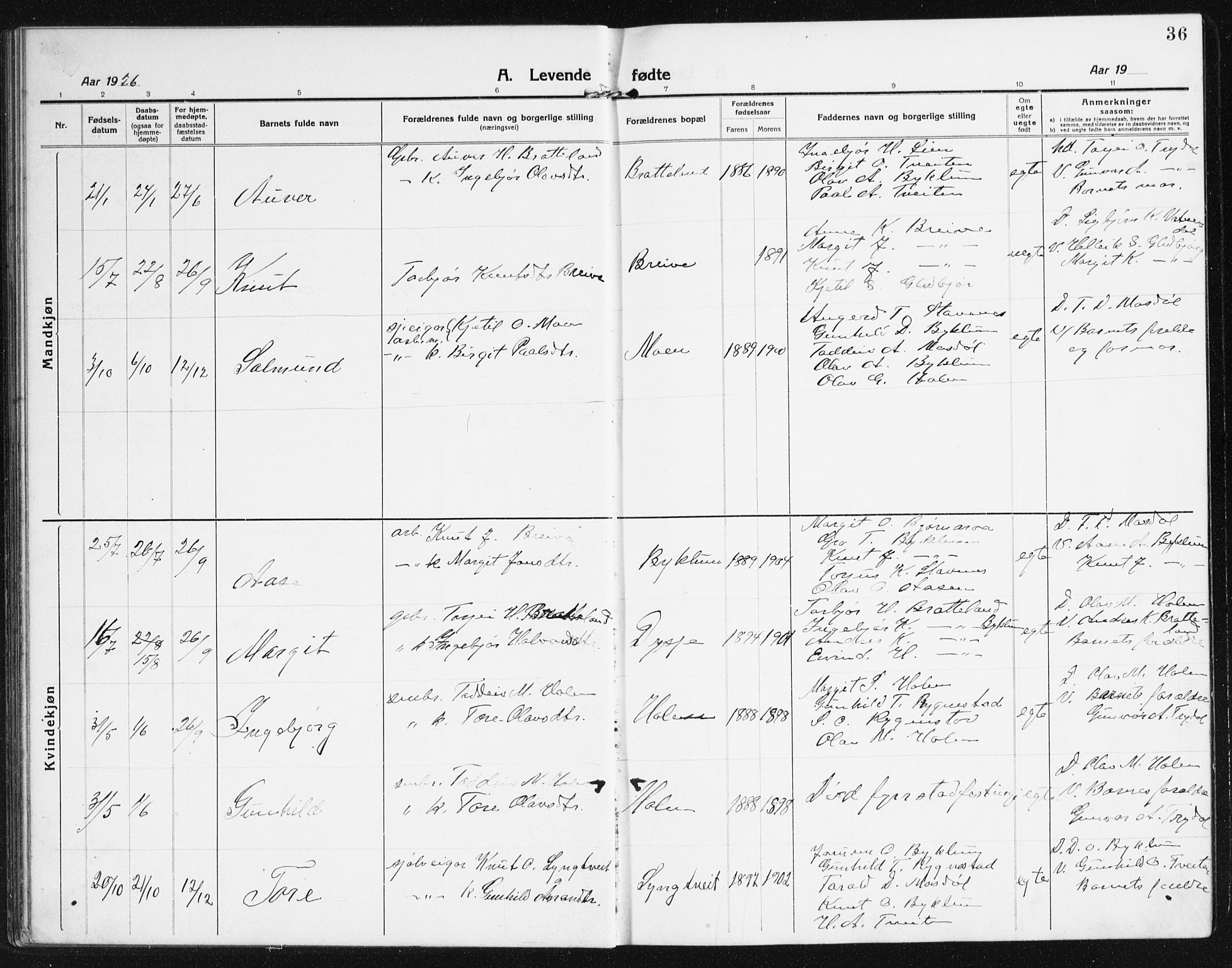 Valle sokneprestkontor, AV/SAK-1111-0044/F/Fb/Fba/L0004: Parish register (copy) no. B 4, 1917-1944, p. 36