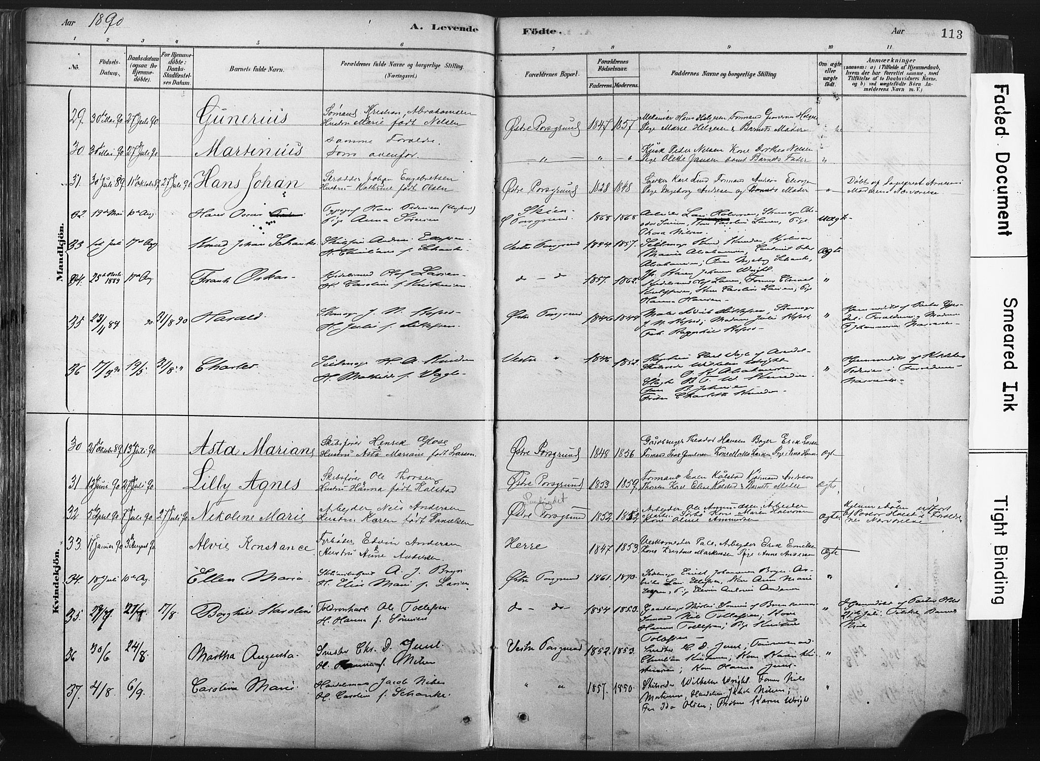 Porsgrunn kirkebøker , SAKO/A-104/F/Fa/L0008: Parish register (official) no. 8, 1878-1895, p. 113