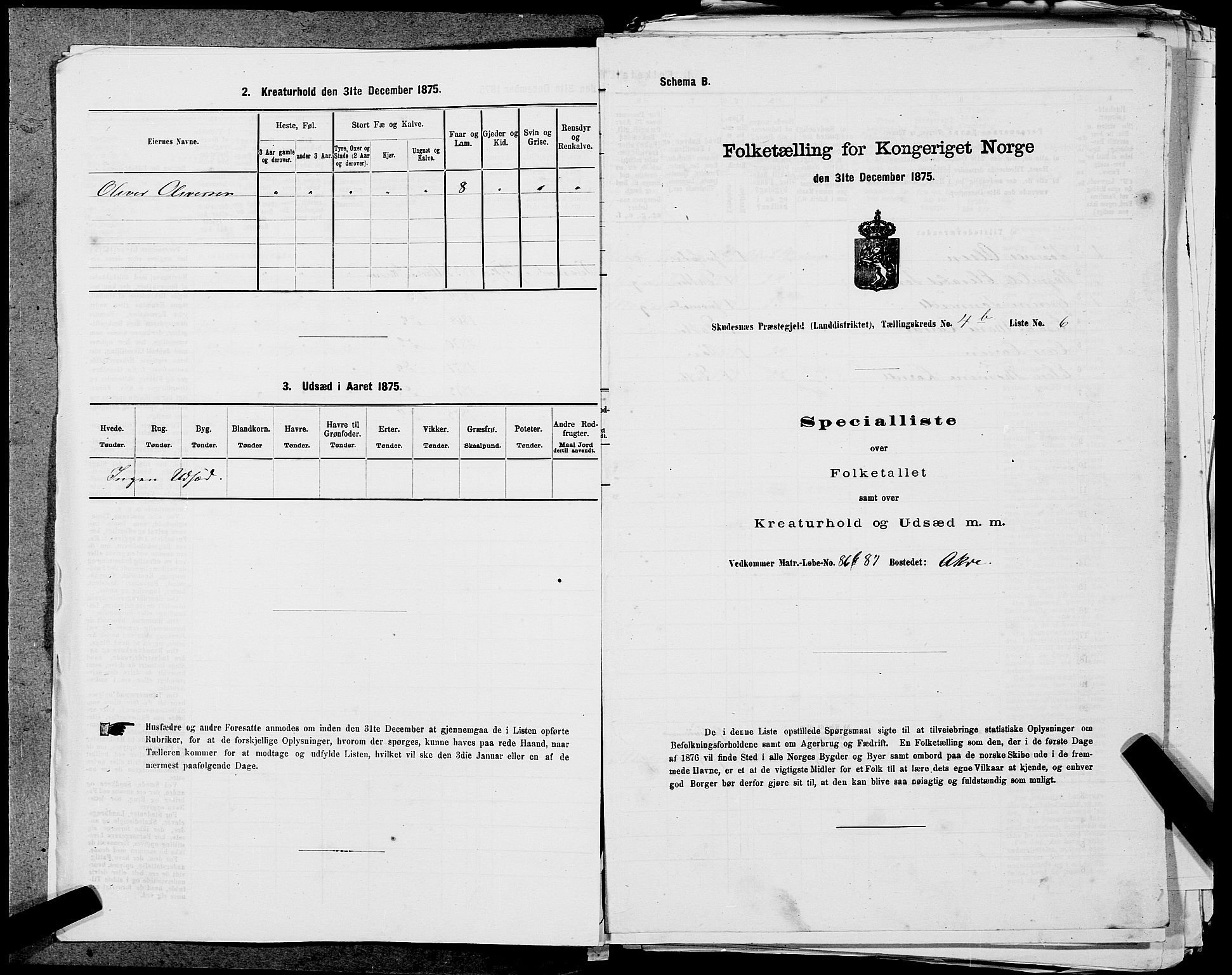 SAST, 1875 census for 1150L Skudenes/Falnes, Åkra og Ferkingstad, 1875, p. 408