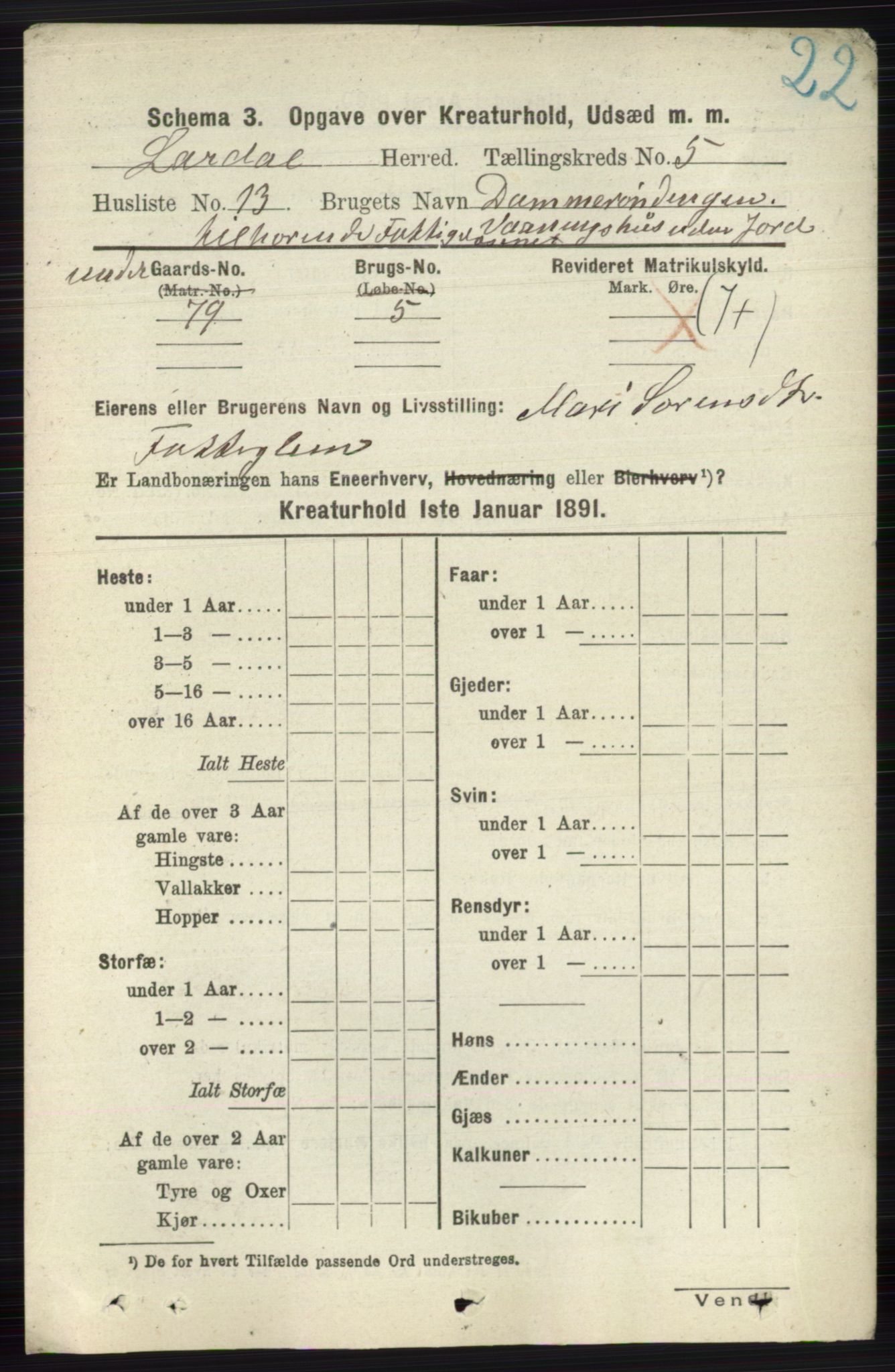 RA, 1891 census for 0728 Lardal, 1891, p. 4063