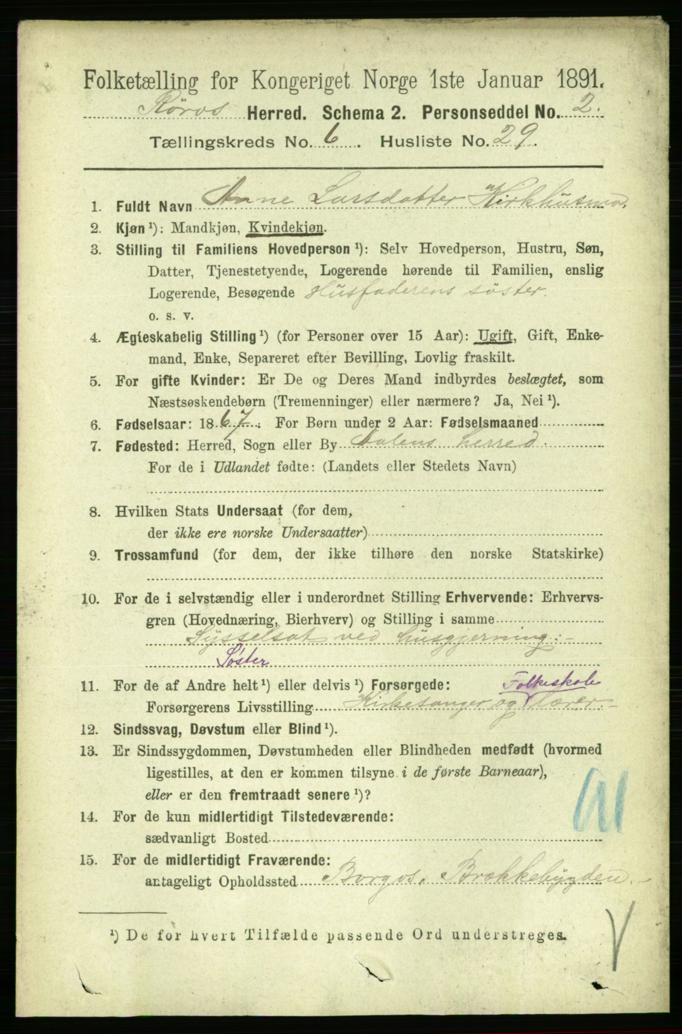 RA, 1891 census for 1640 Røros, 1891, p. 1333