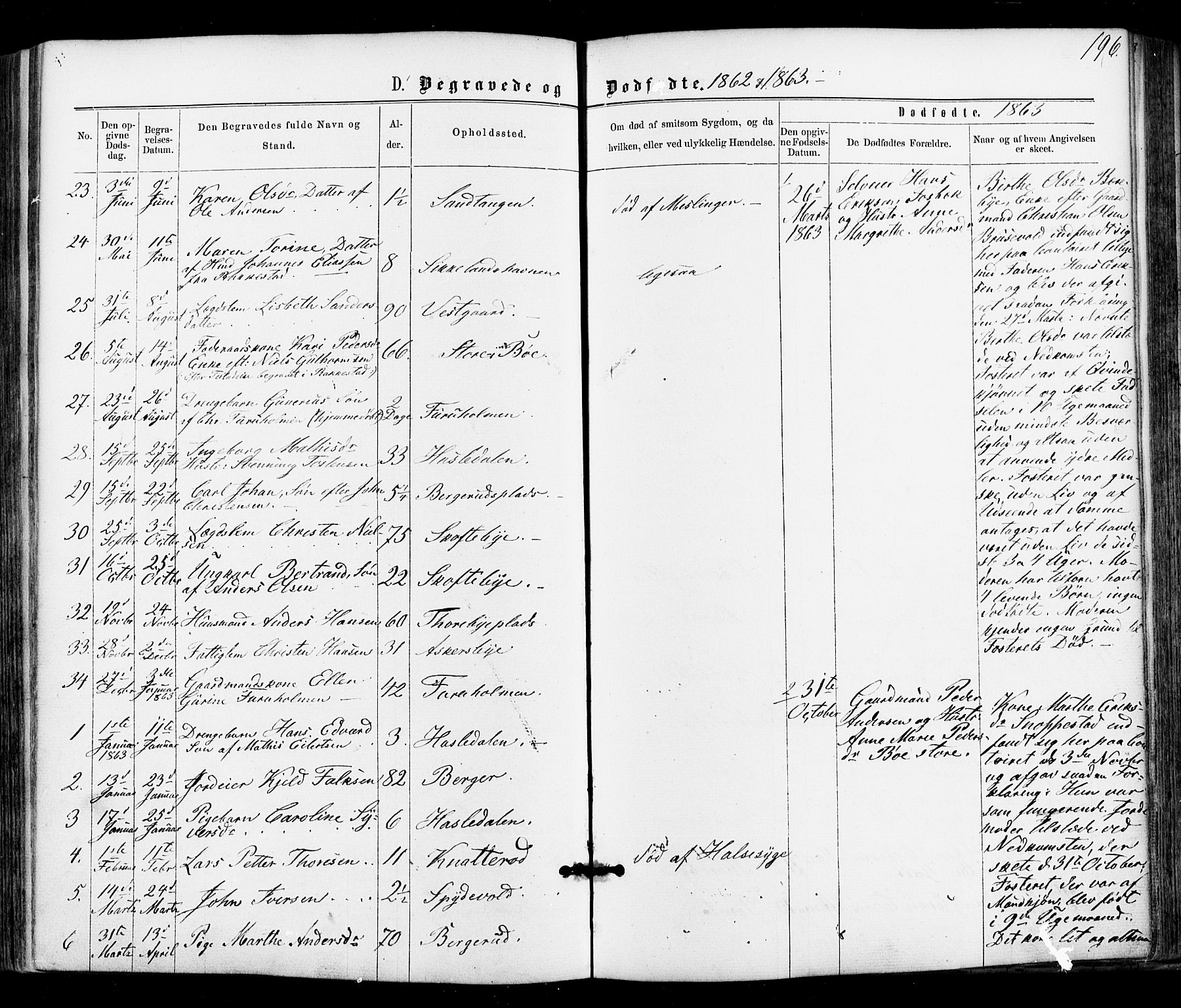 Varteig prestekontor Kirkebøker, AV/SAO-A-10447a/F/Fa/L0001: Parish register (official) no. 1, 1861-1877, p. 196