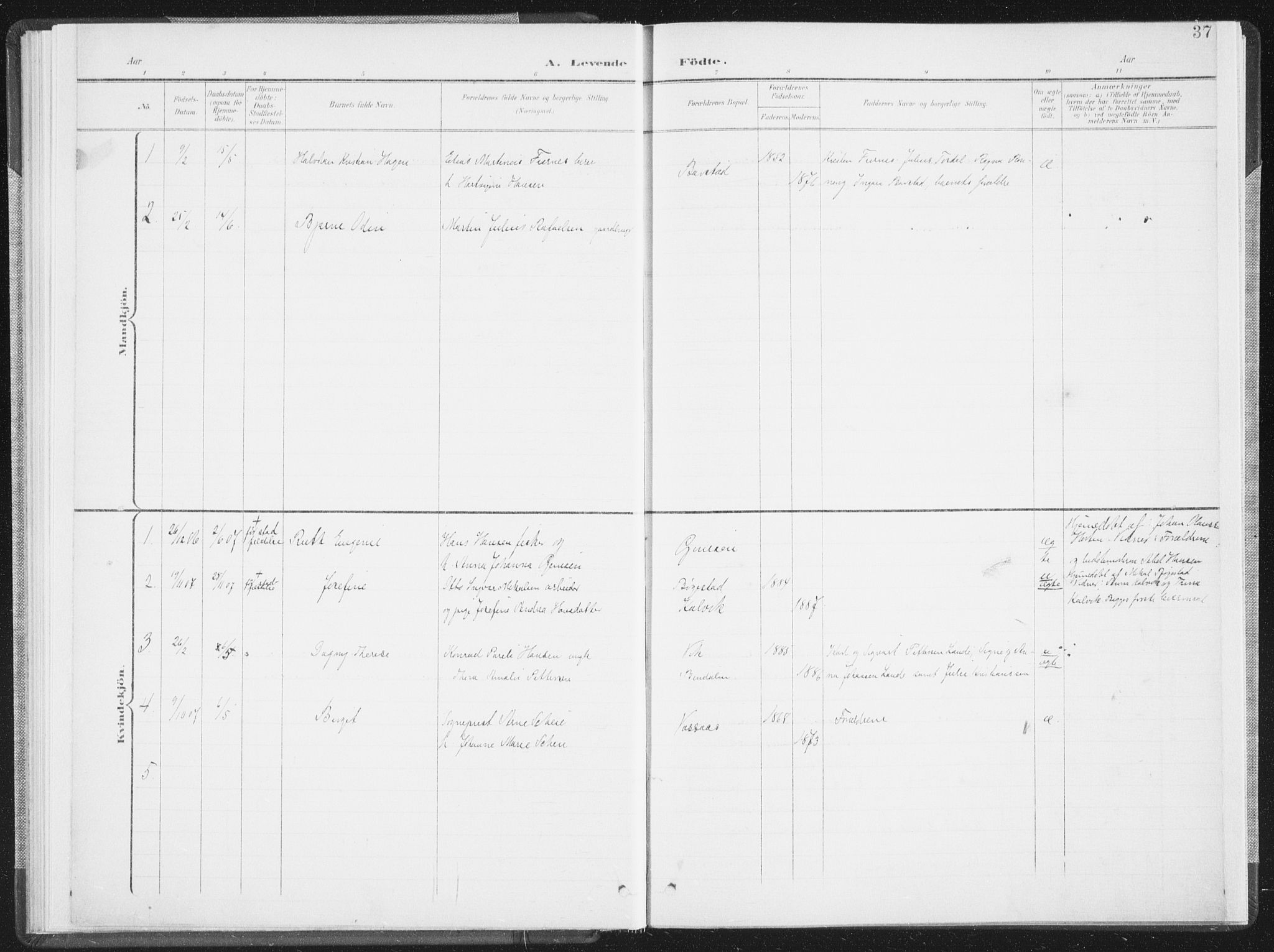 Ministerialprotokoller, klokkerbøker og fødselsregistre - Nordland, AV/SAT-A-1459/810/L0153: Parish register (official) no. 810A12, 1899-1914, p. 37