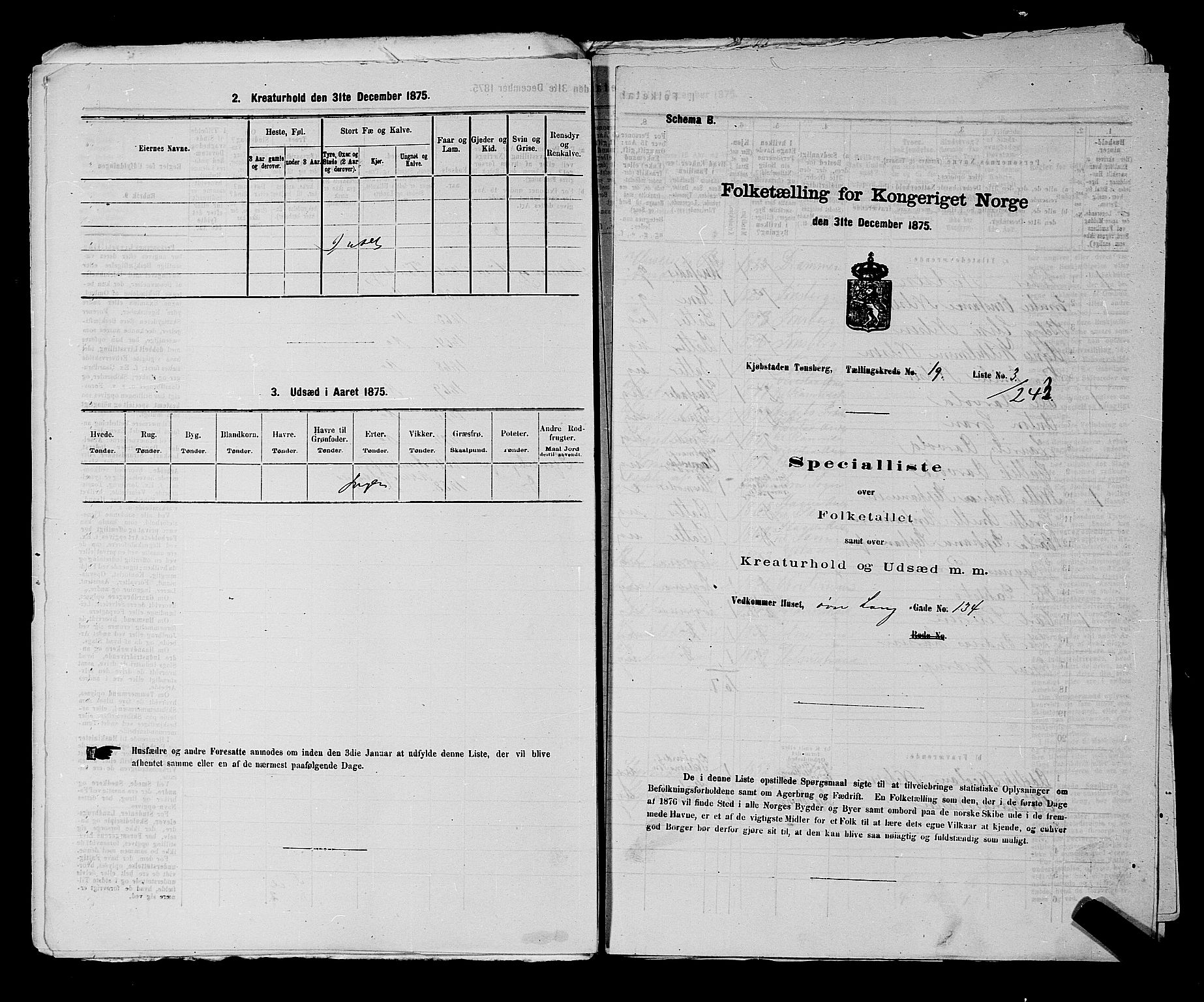 SAKO, 1875 census for 0705P Tønsberg, 1875, p. 598