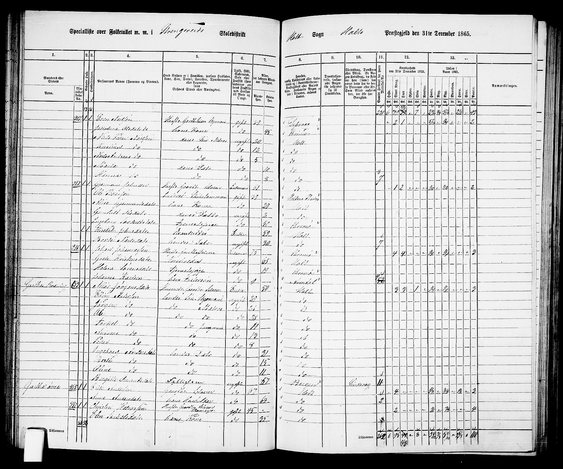 RA, 1865 census for Holt/Holt, 1865, p. 78