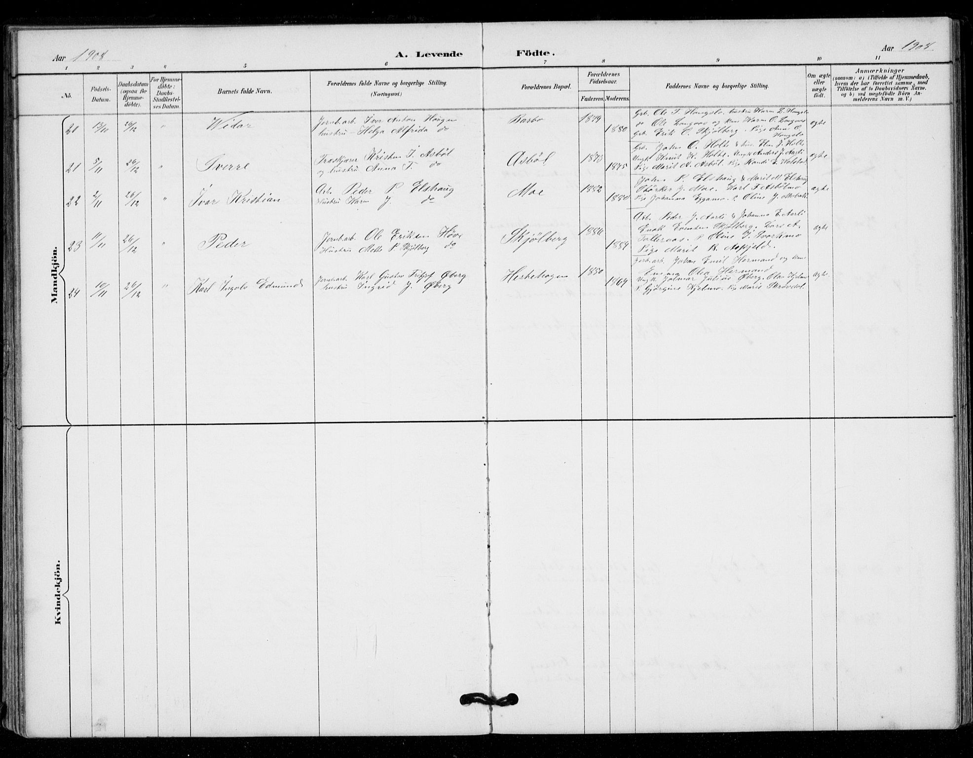 Ministerialprotokoller, klokkerbøker og fødselsregistre - Sør-Trøndelag, AV/SAT-A-1456/671/L0841: Parish register (official) no. 671A03, 1893-1915