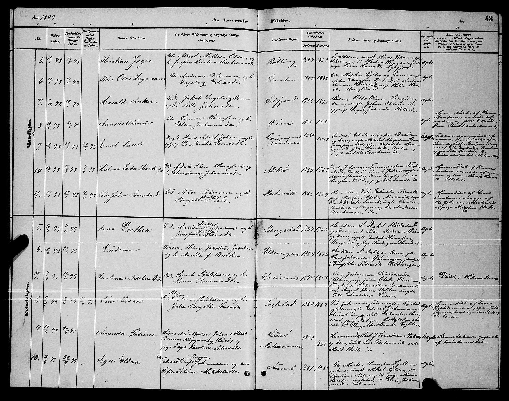 Ministerialprotokoller, klokkerbøker og fødselsregistre - Nordland, AV/SAT-A-1459/810/L0160: Parish register (copy) no. 810C03, 1884-1896, p. 43