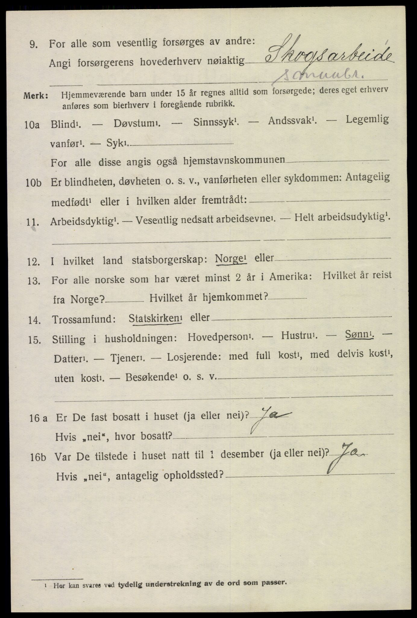 SAH, 1920 census for Åmot, 1920, p. 10874