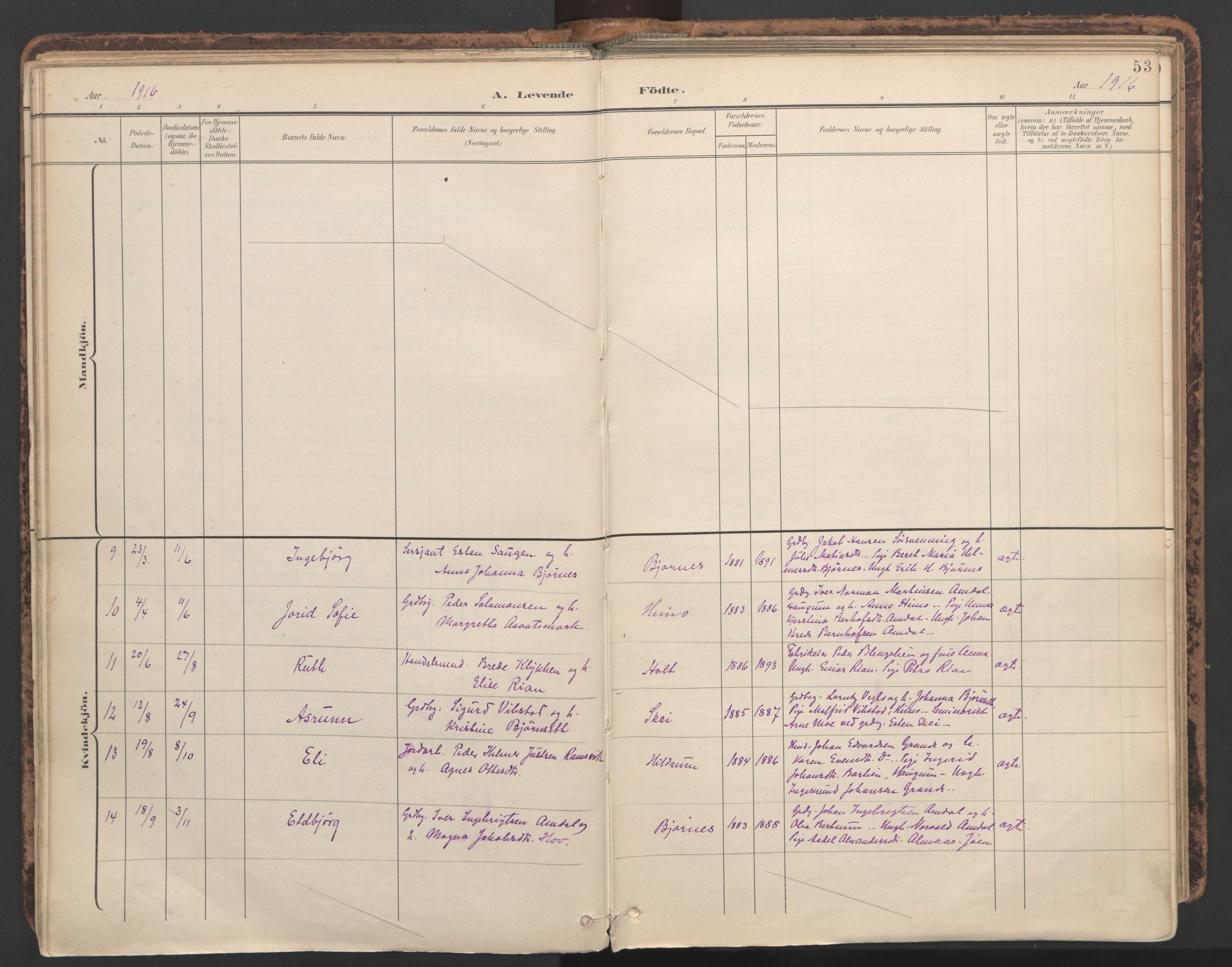 Ministerialprotokoller, klokkerbøker og fødselsregistre - Nord-Trøndelag, AV/SAT-A-1458/764/L0556: Parish register (official) no. 764A11, 1897-1924, p. 53