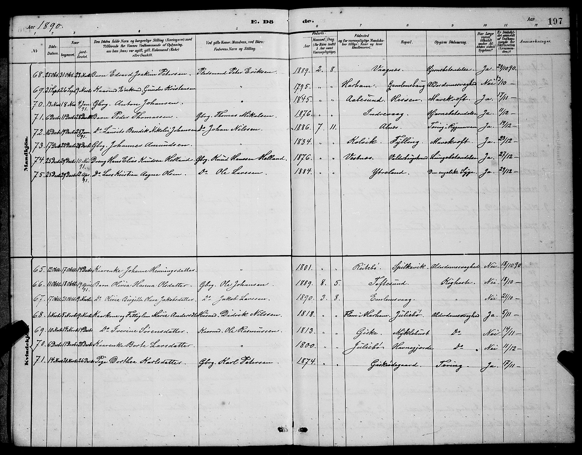 Ministerialprotokoller, klokkerbøker og fødselsregistre - Møre og Romsdal, AV/SAT-A-1454/528/L0430: Parish register (copy) no. 528C11, 1884-1899, p. 197