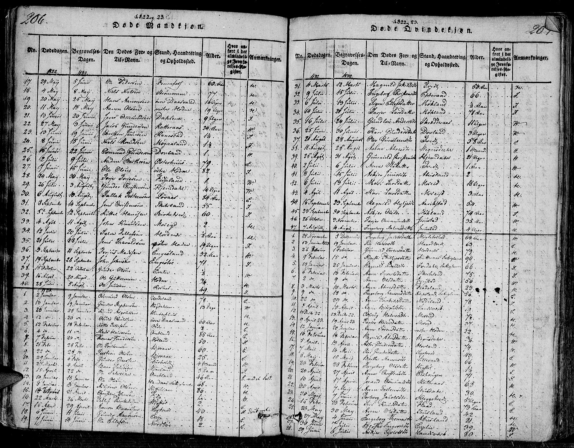 Evje sokneprestkontor, SAK/1111-0008/F/Fa/Faa/L0004: Parish register (official) no. A 4, 1816-1840, p. 206-207